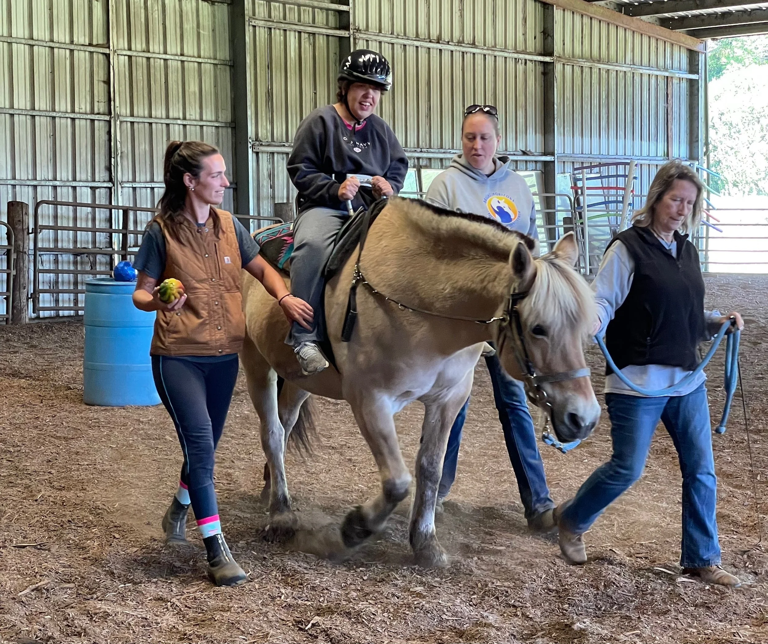 An inspiring horse tale