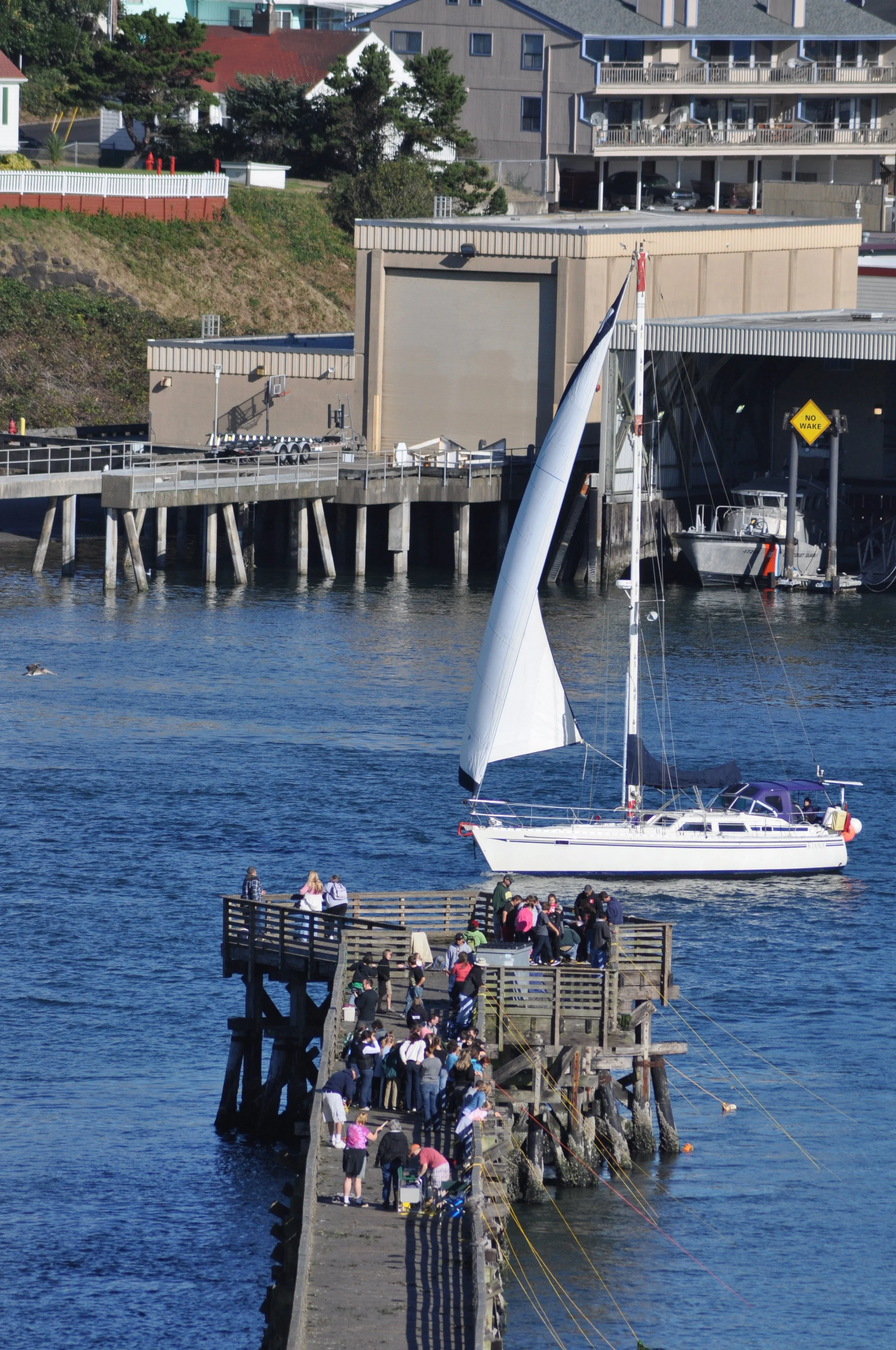 DSC_0134.jpg