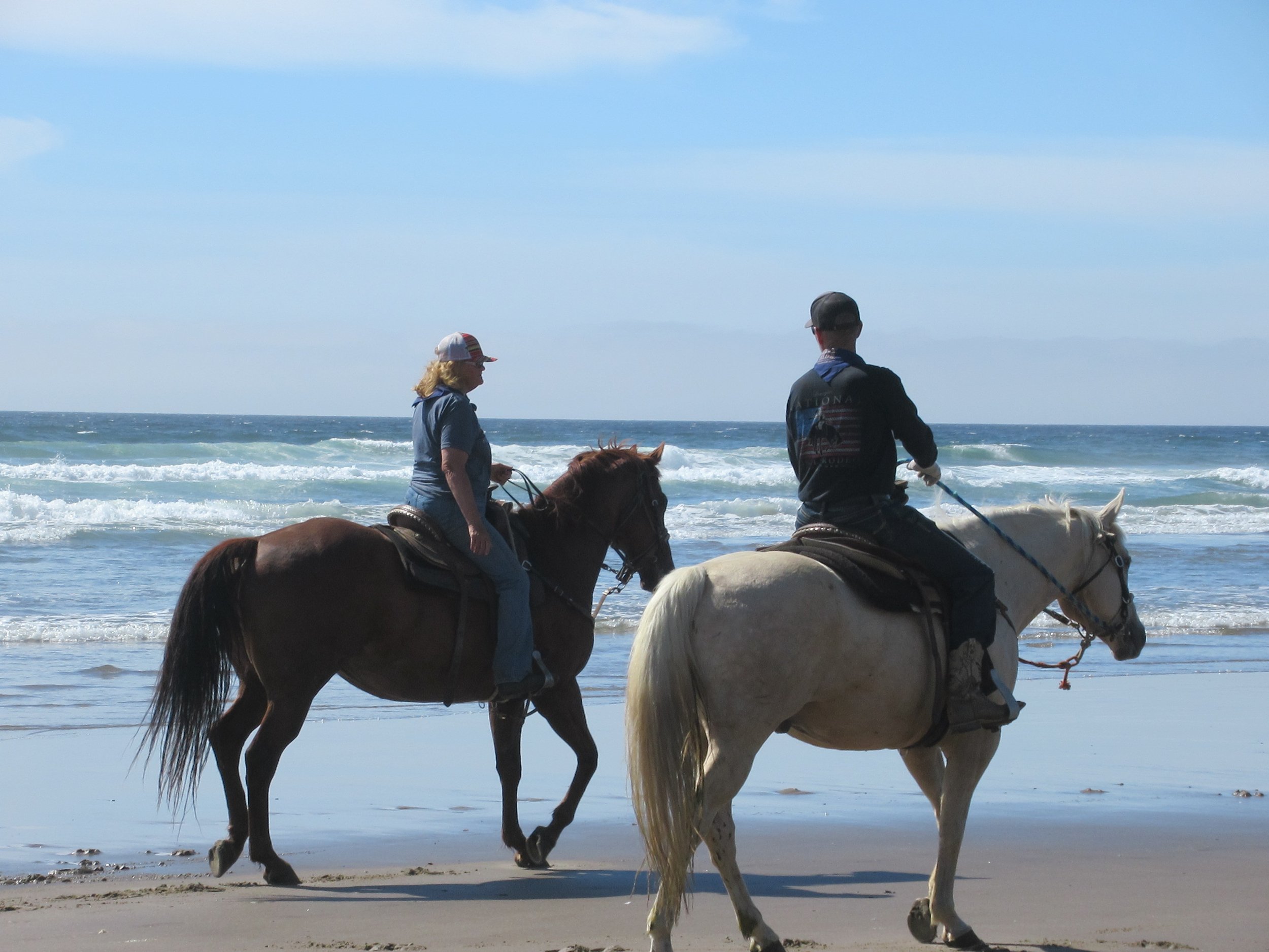 A detour through Manzanita