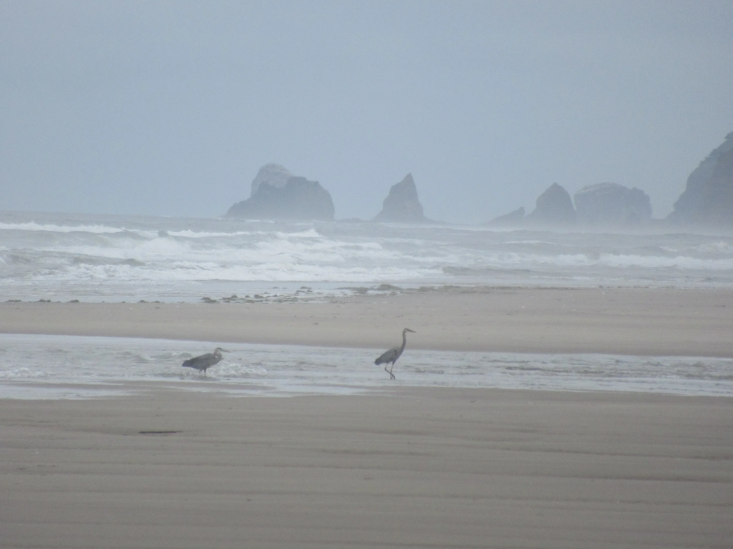 Hikers on the Lookout
