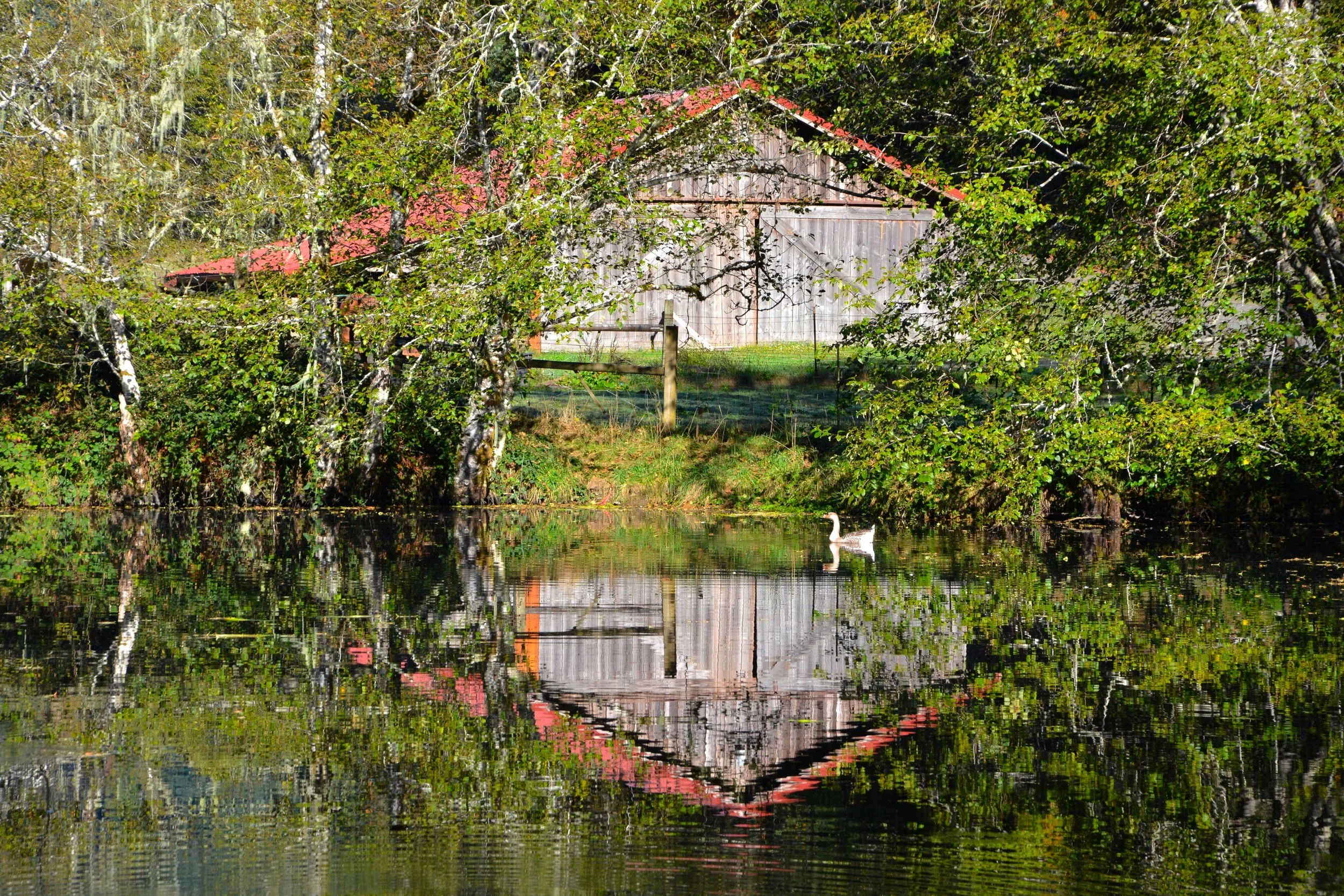 Honk if you love farmers             