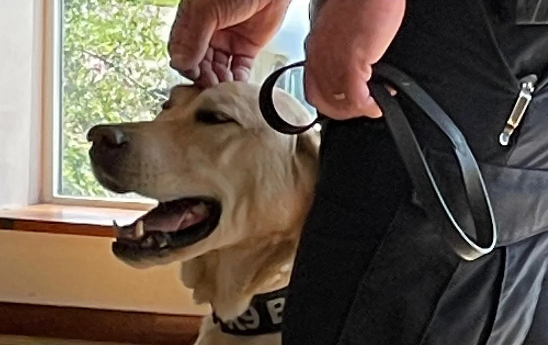 A dog that’s heaven scent