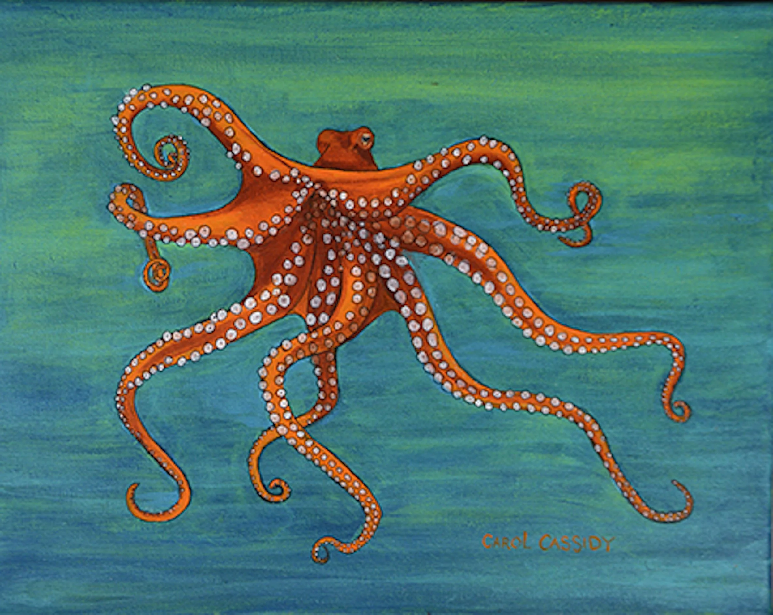 Carol Cassidy, Octopus.jpg
