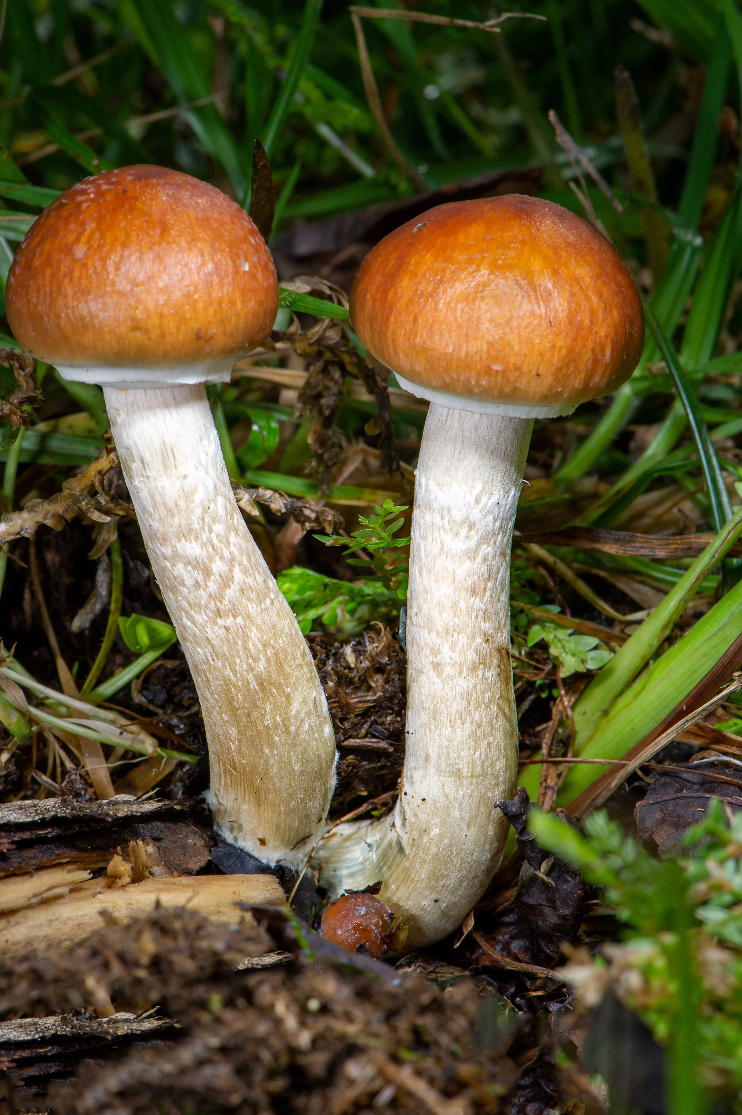 It’s a kind of magic