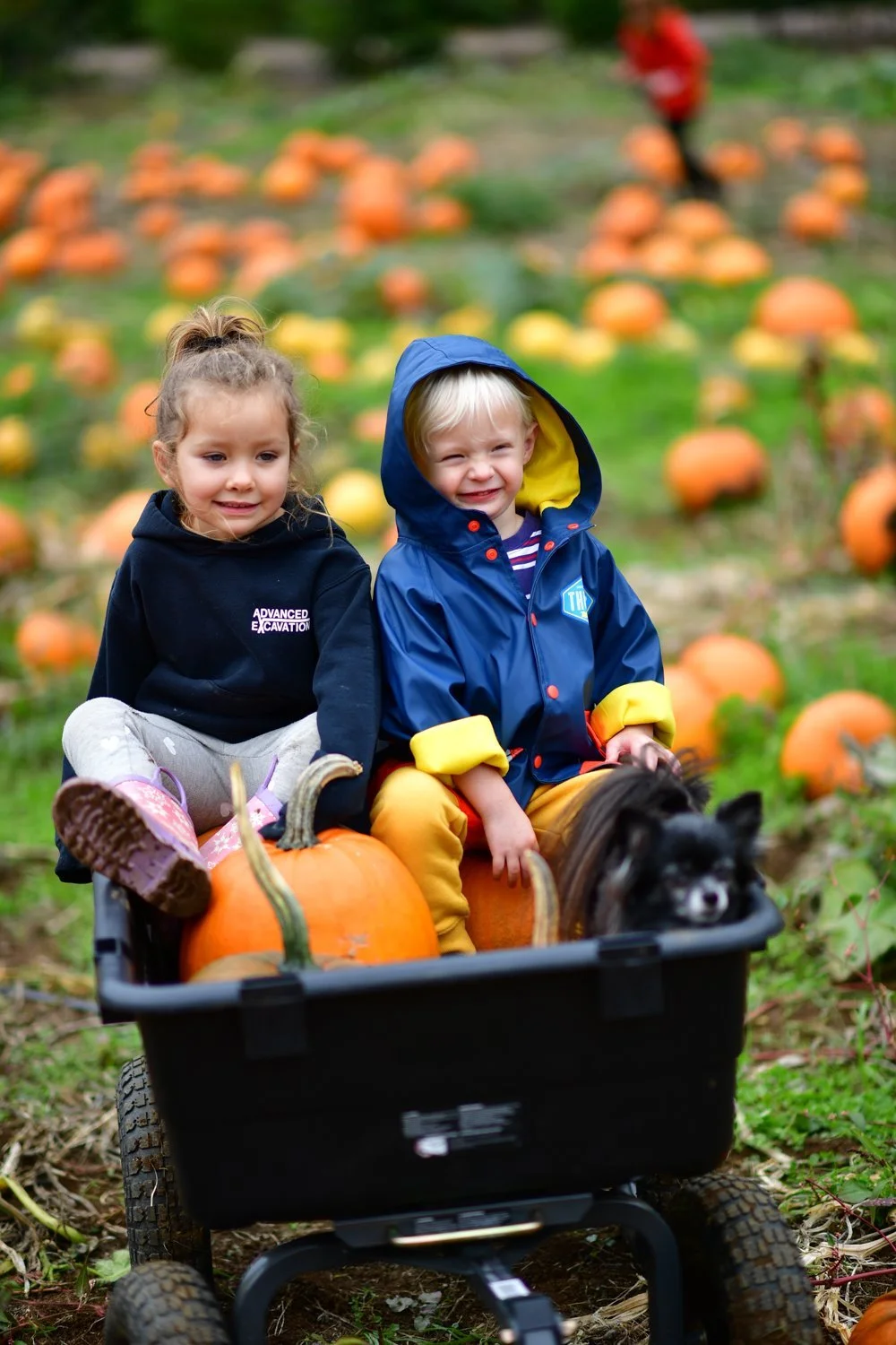 A patch work solution