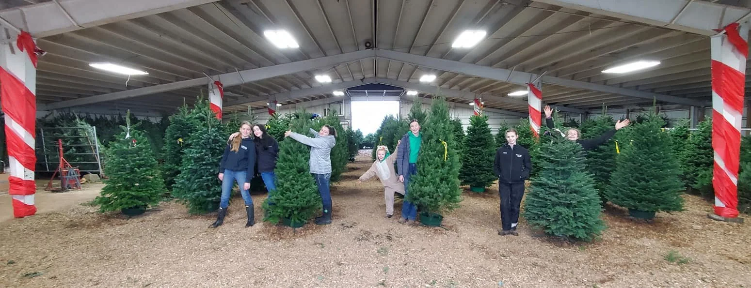 4H teens are on a Noble quest