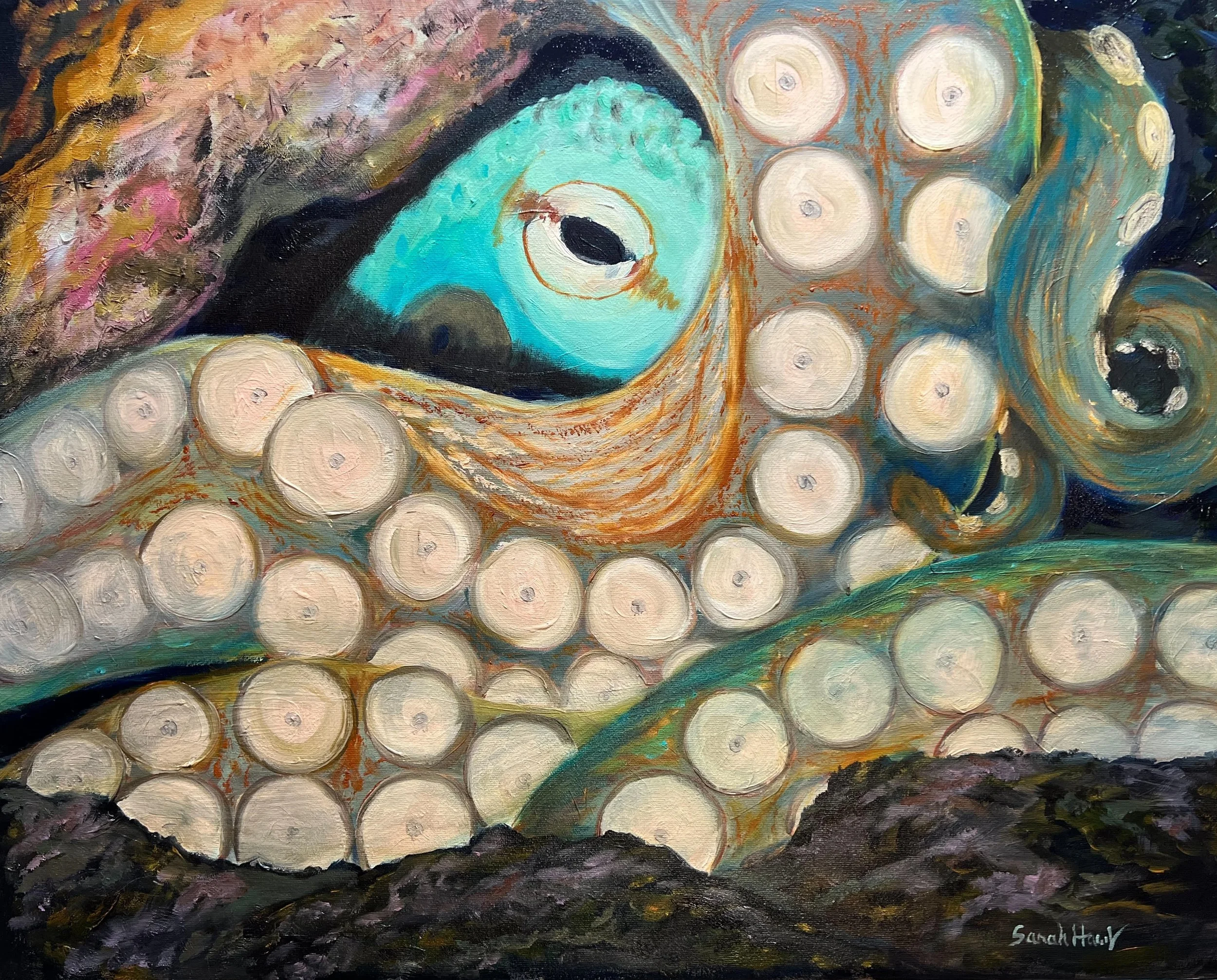 Octipus, Hawklyn.jpg