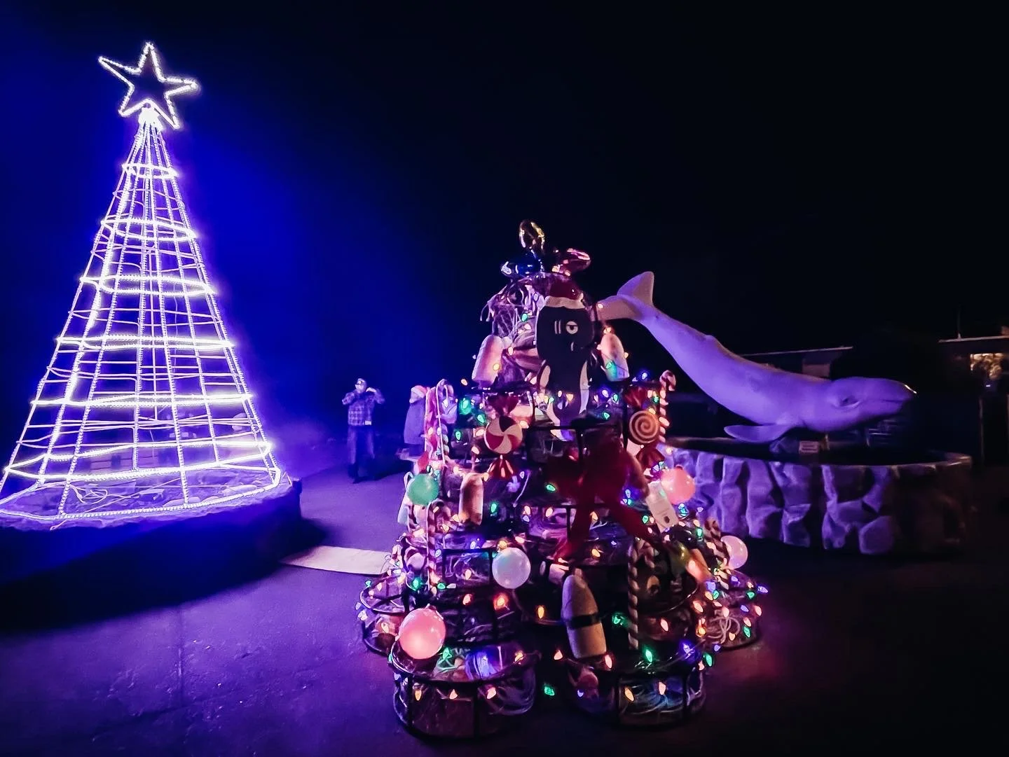 Holiday Lights Guide