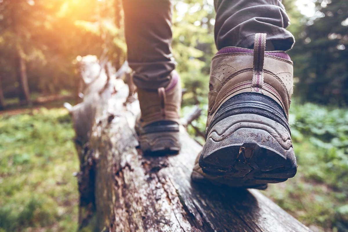 Re-boot with First Day Hikes