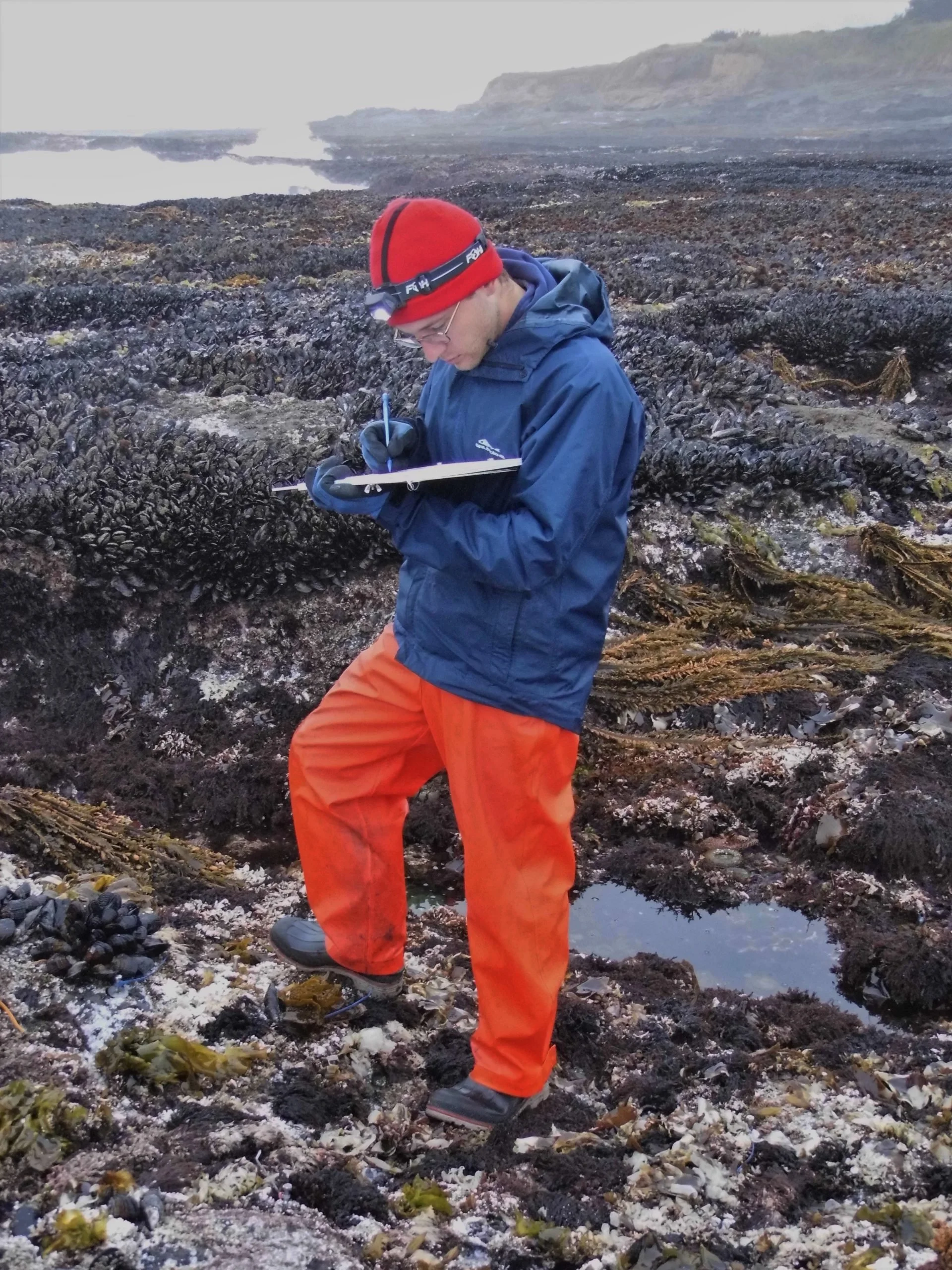 Young scientists rock