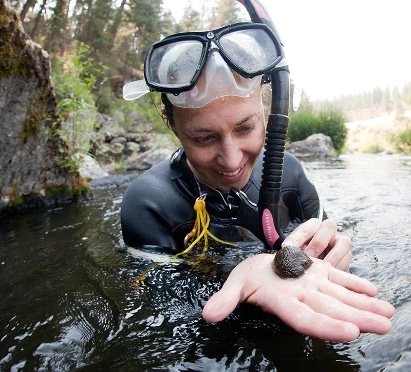 Enjoy a few blue movies