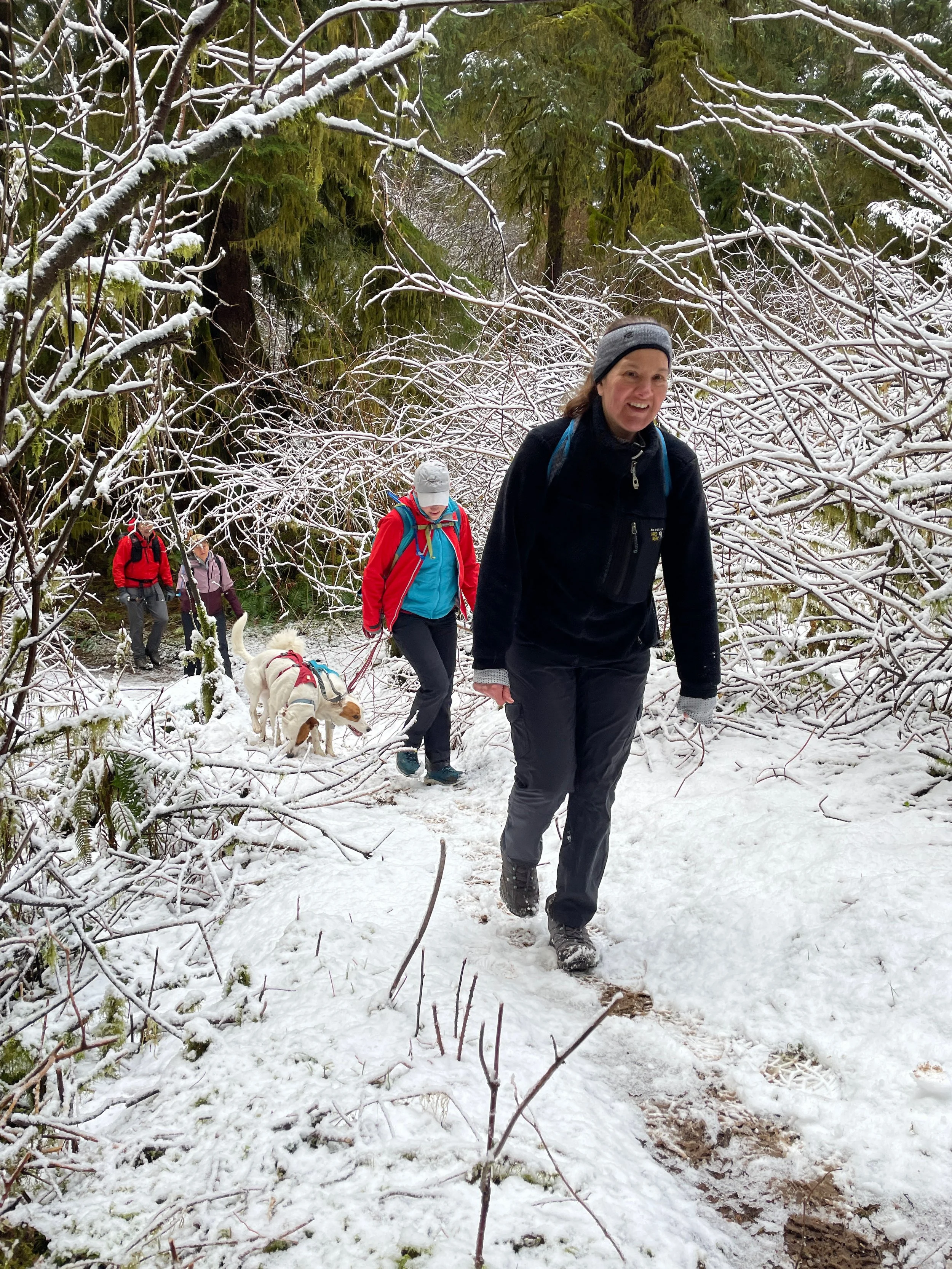 rainforest trail - 10.jpeg