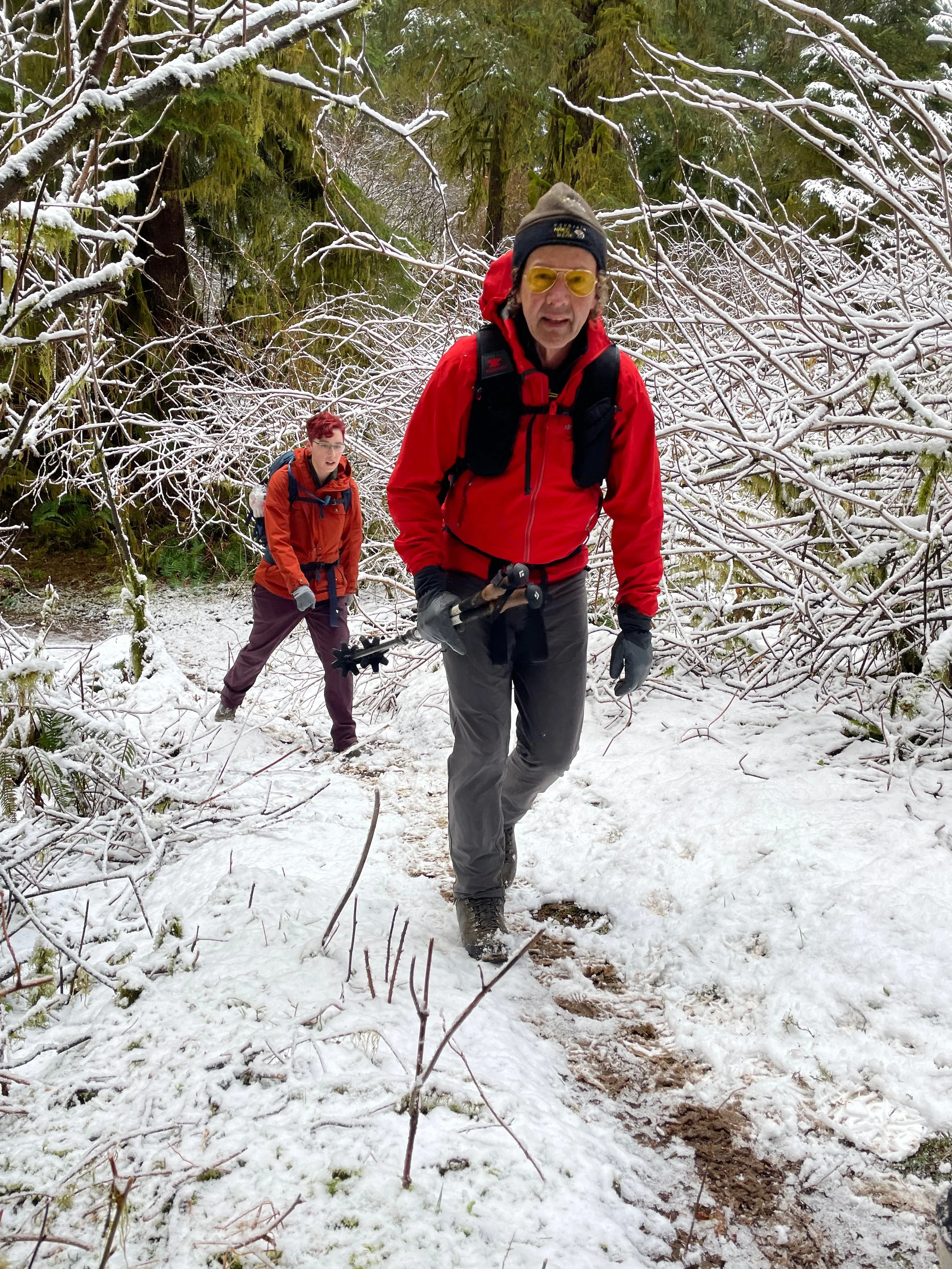 rainforest trail - 13.jpeg