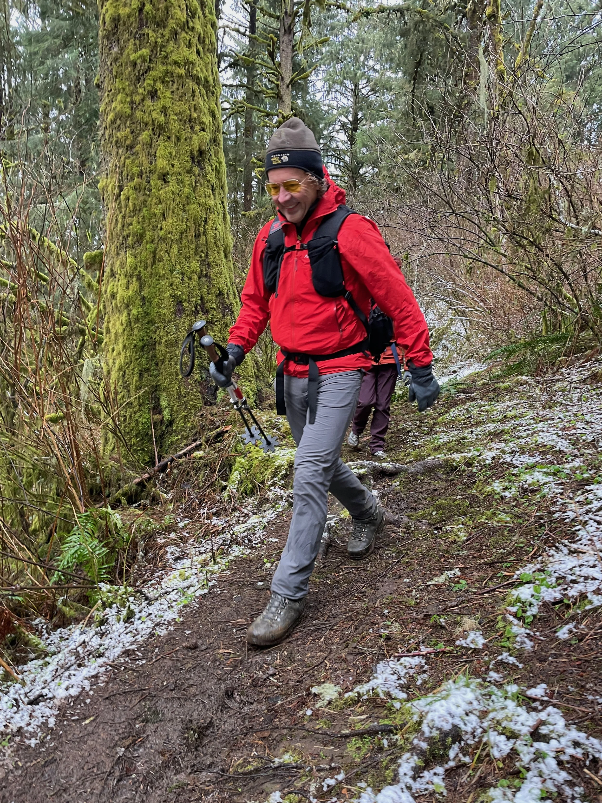 Drop in at Rainforest Trail