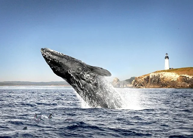 The pods are in your favor