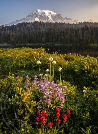 Mother Natures Bouquet Sylvia Hosie.jpg