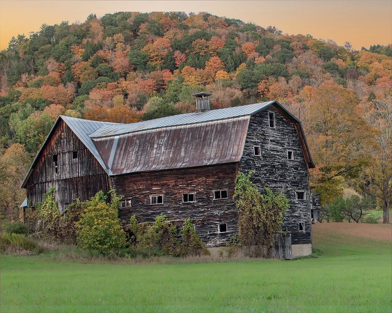 A Tall Heritage by Melody Lavrakas.jpg