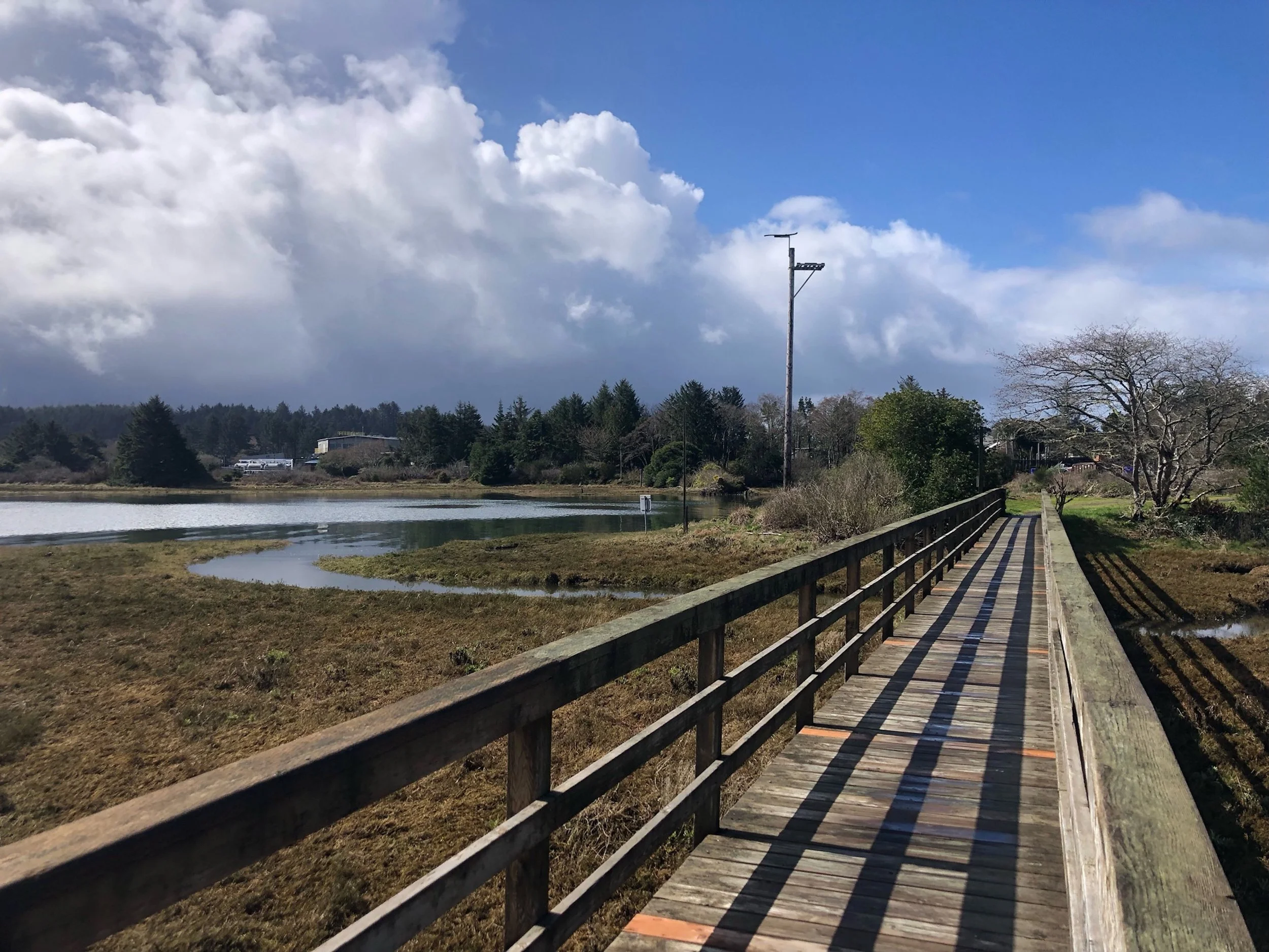 This shore is a nice trail