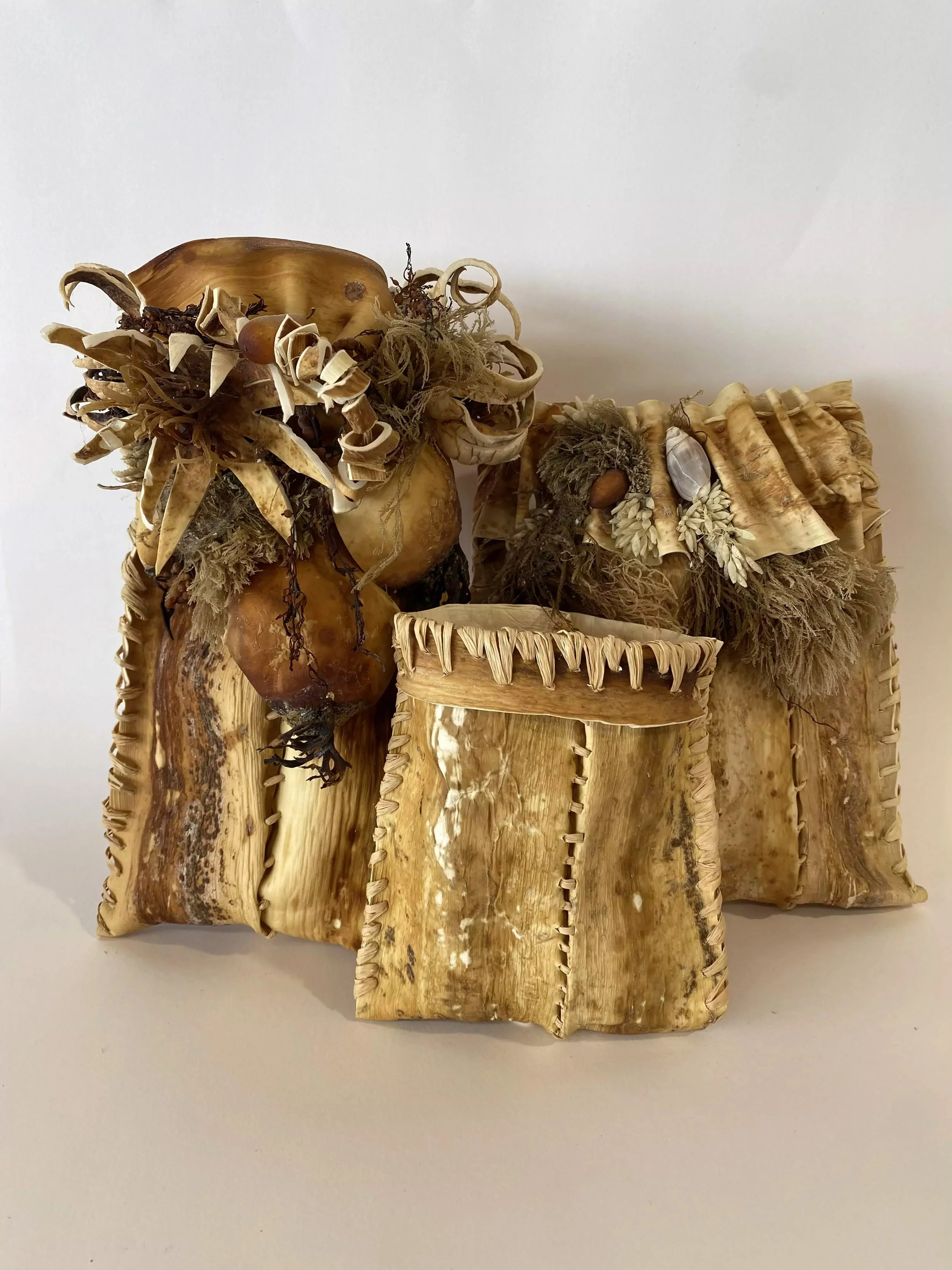 Cheri Aldrich - Kelp Pouches.jpg