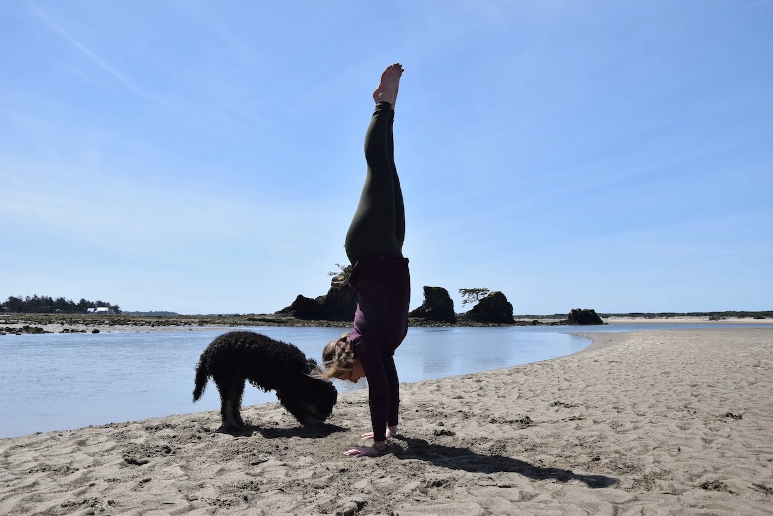 yoga cover - 10.jpeg