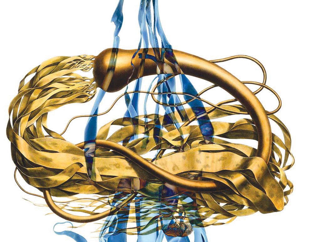 Weed love to see you there