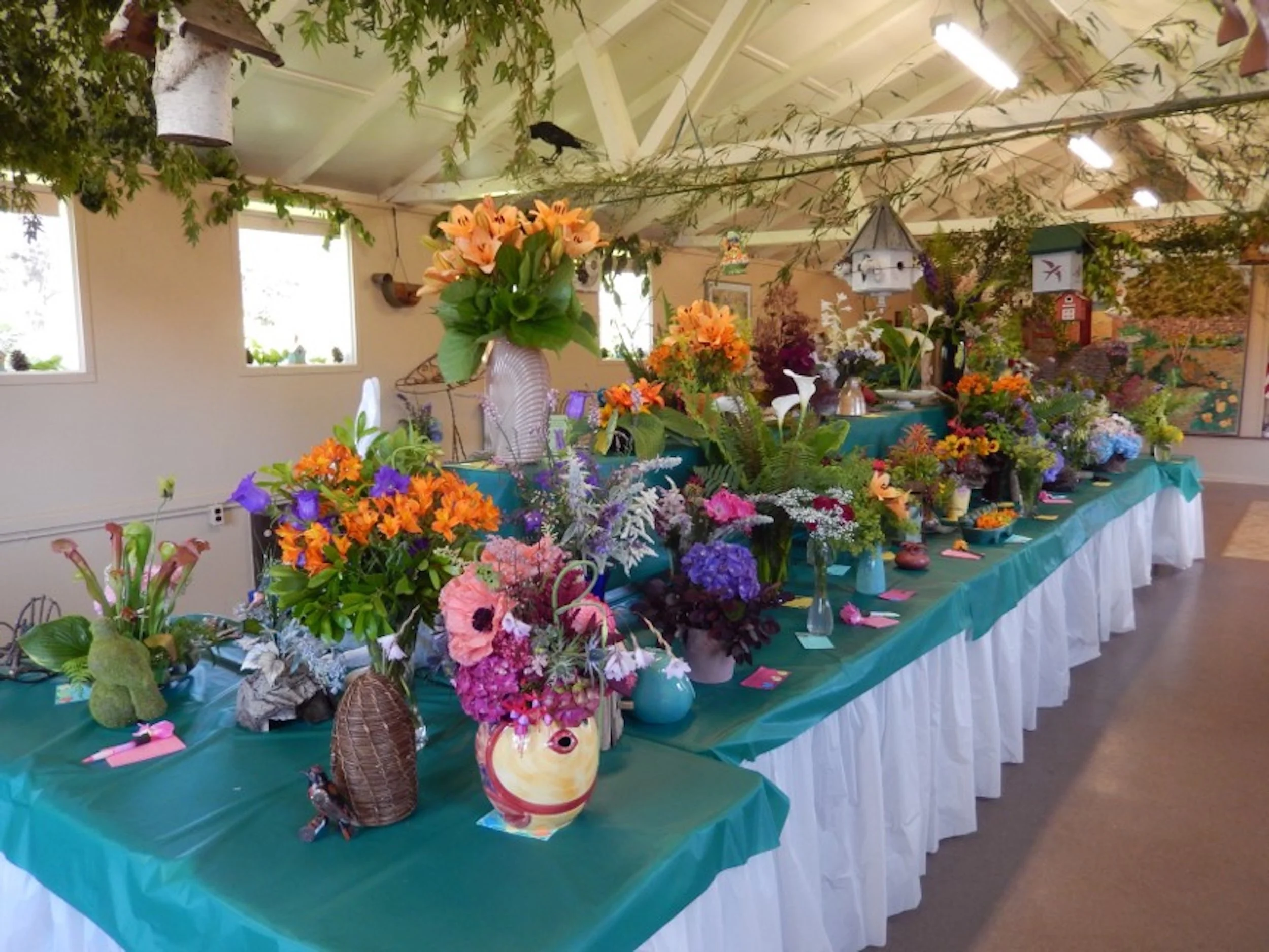 Get a green new deal in Seal Rock