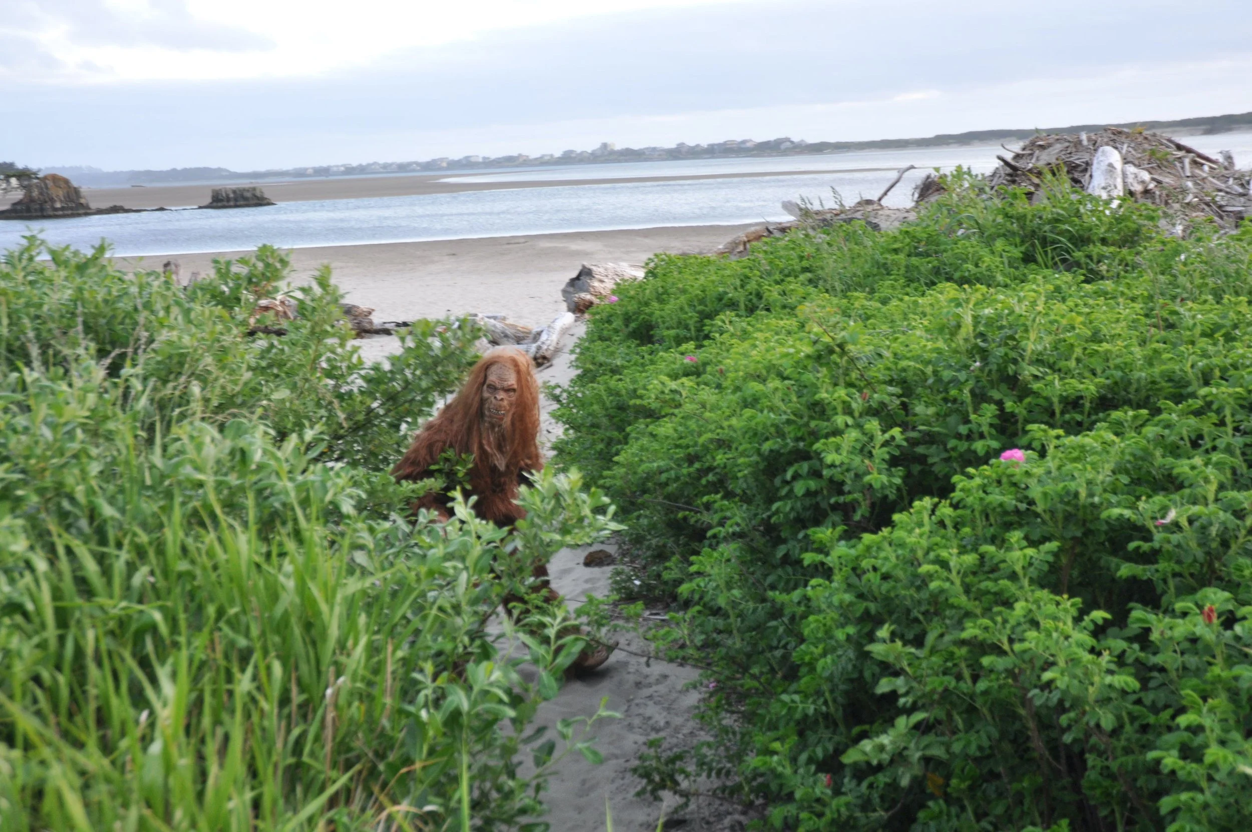 Check out some old haunts