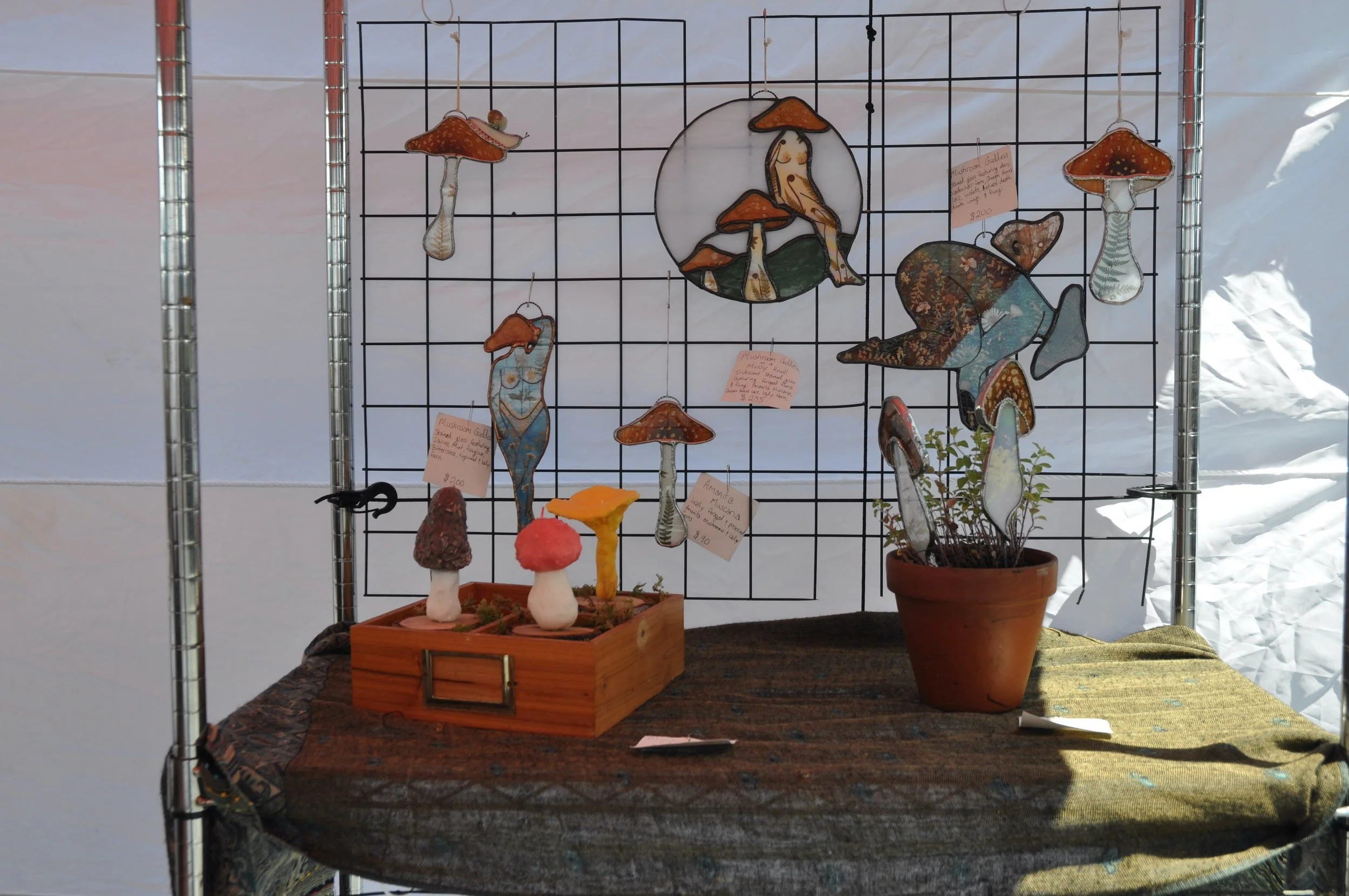 There’s not mushroom for improvement