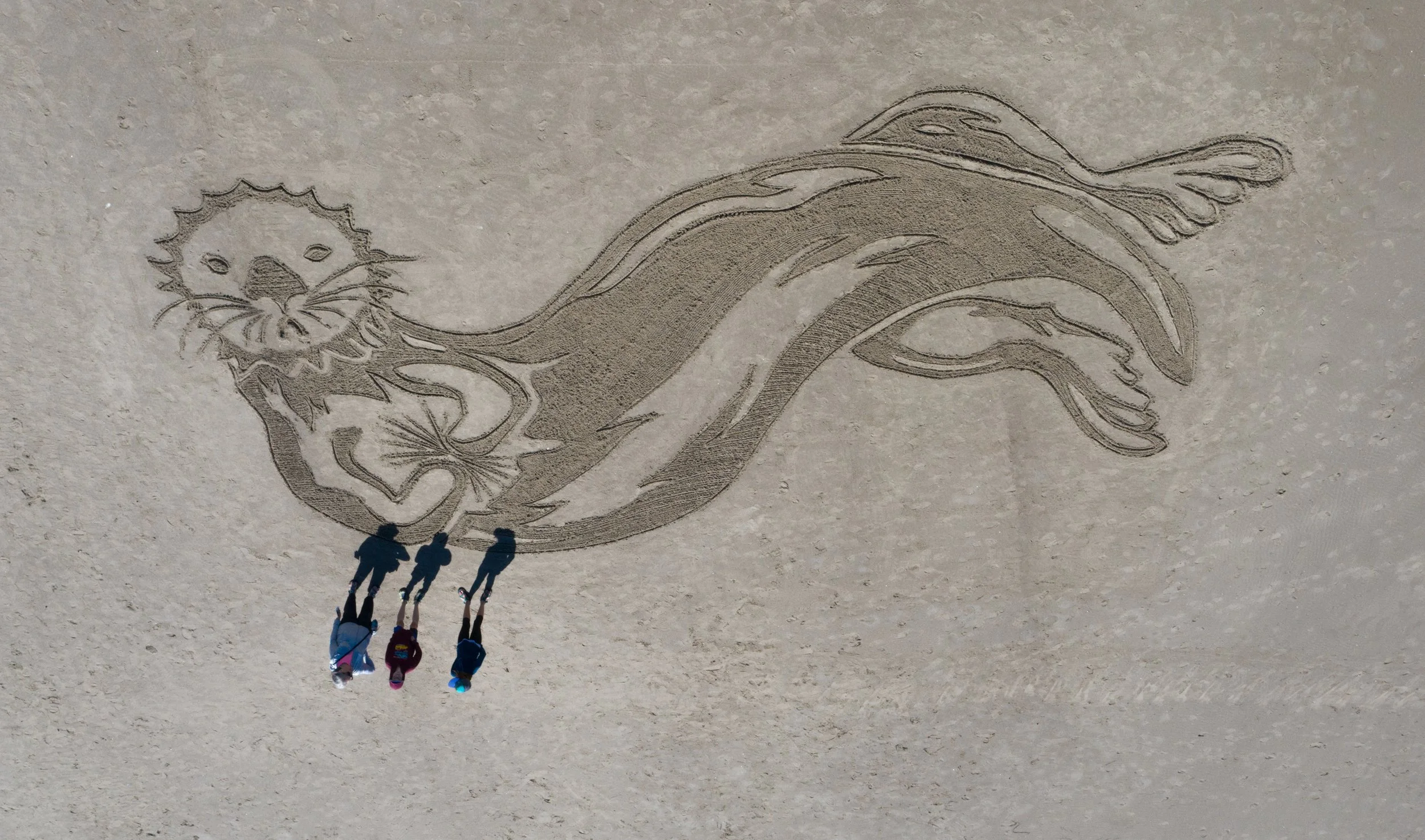 Beach your artistic potential