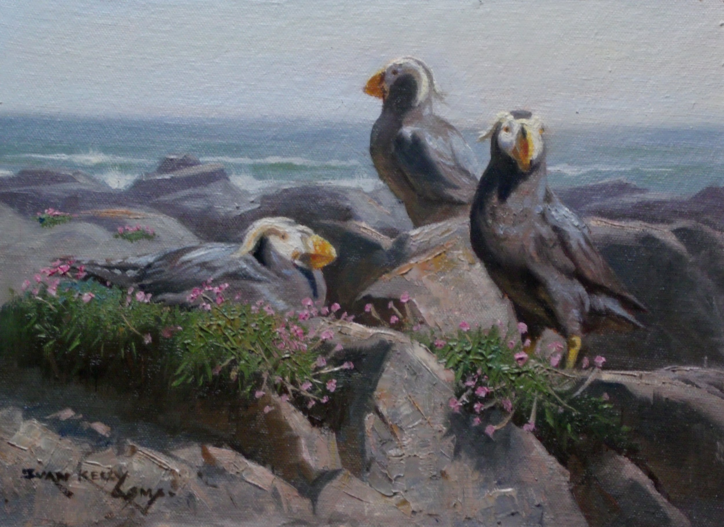 Out to Sea, Tuffted Puffins, 9x12.JPG