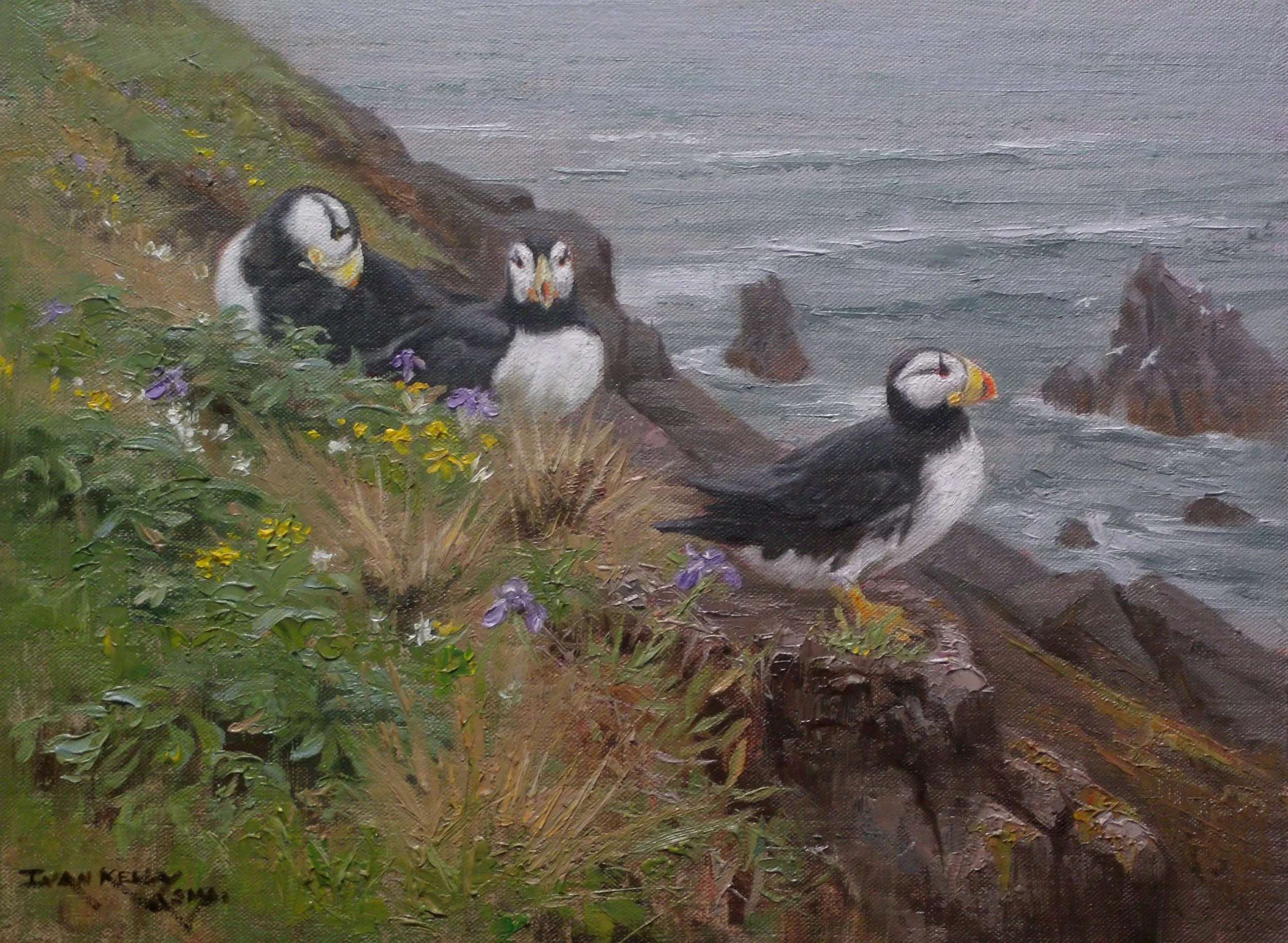 04_Horned Puffins  -Ivan Kelly.JPG