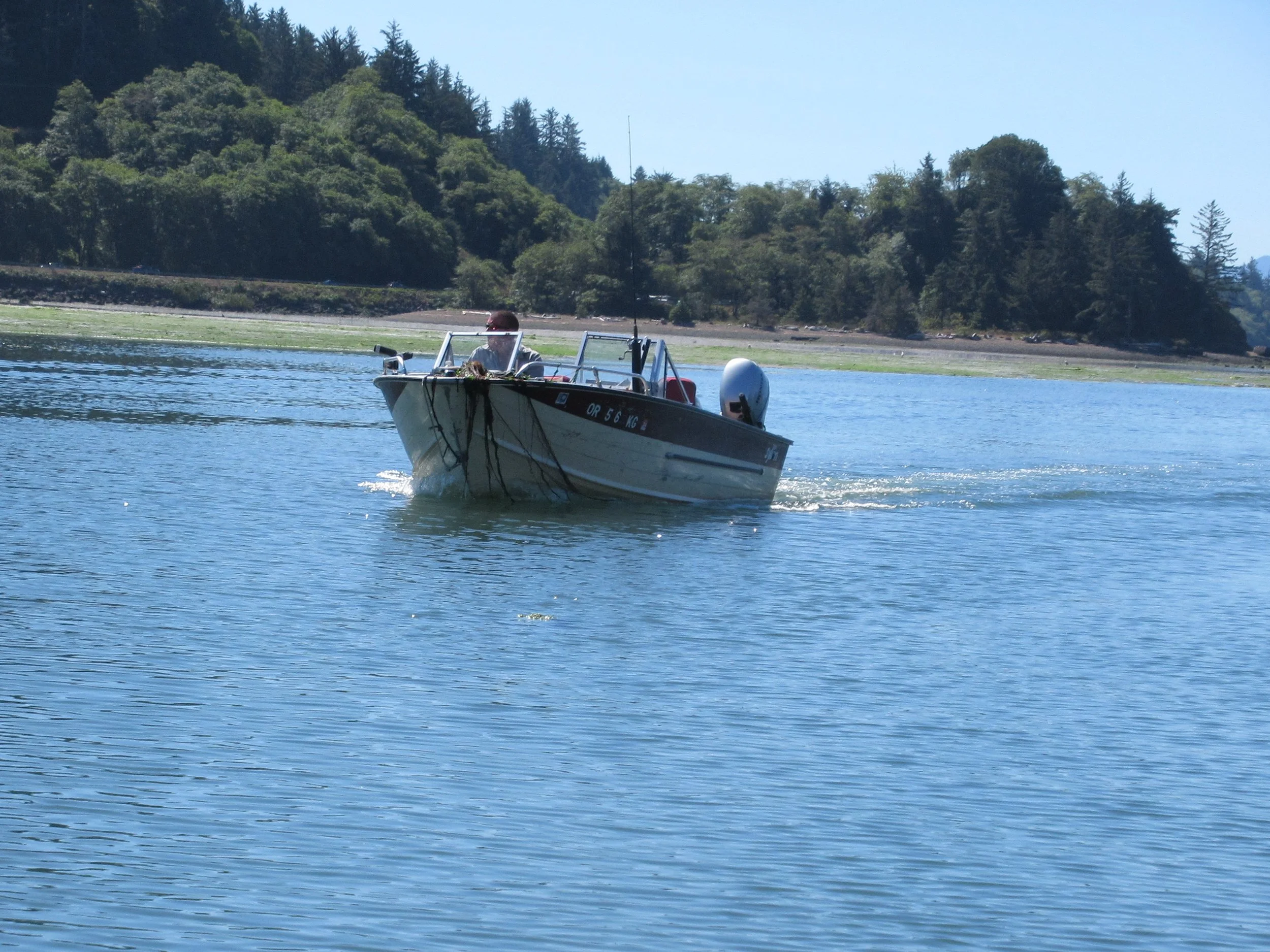 A ferry t(r)ail in Garibaldi 
