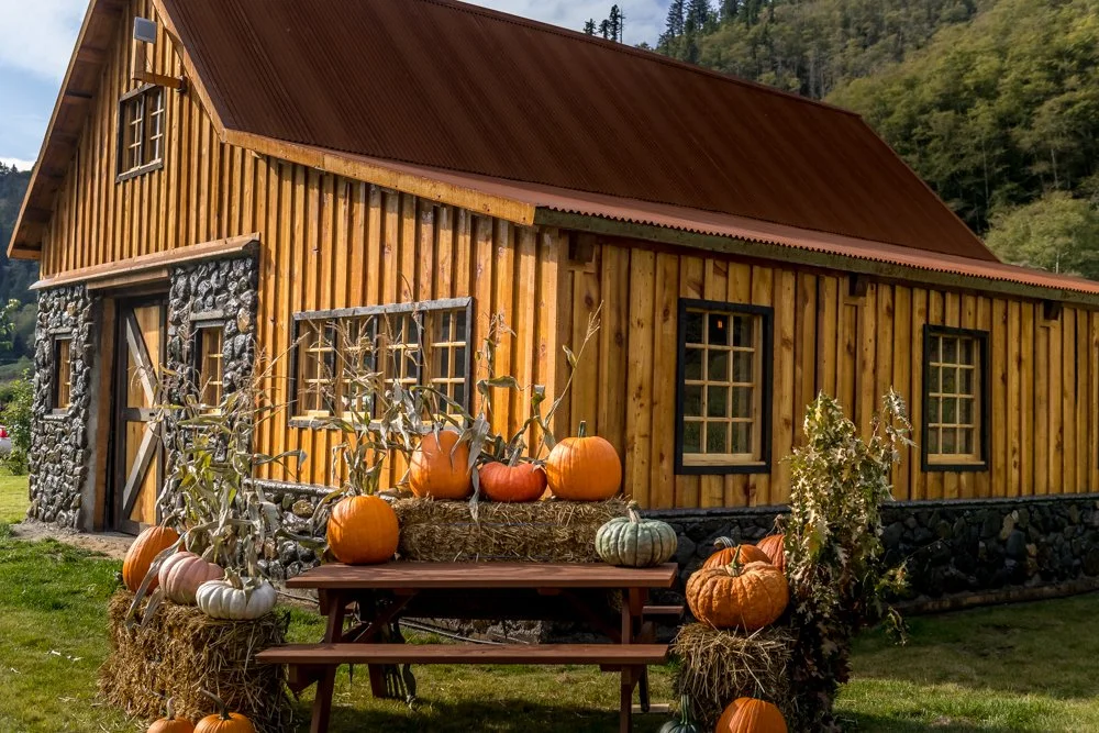 Orange you glad it’s fall?