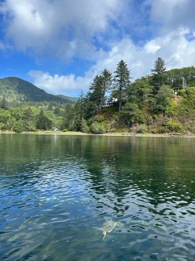 cascade head with crab.jpg