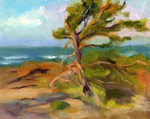 Kara Wilde_804 Trail Tree.jpeg