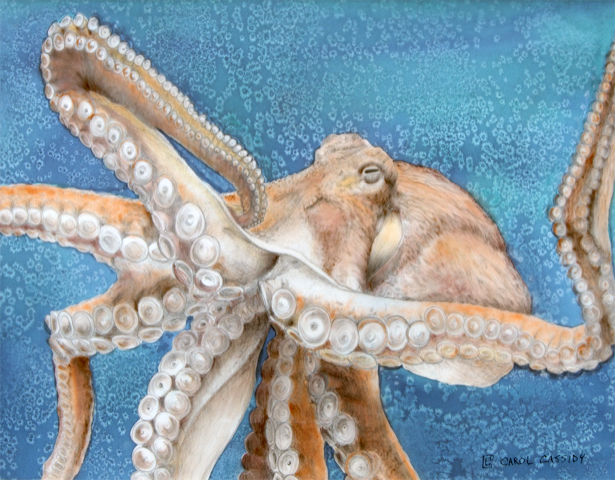 Carol Cassidy Dancing Octopus.png