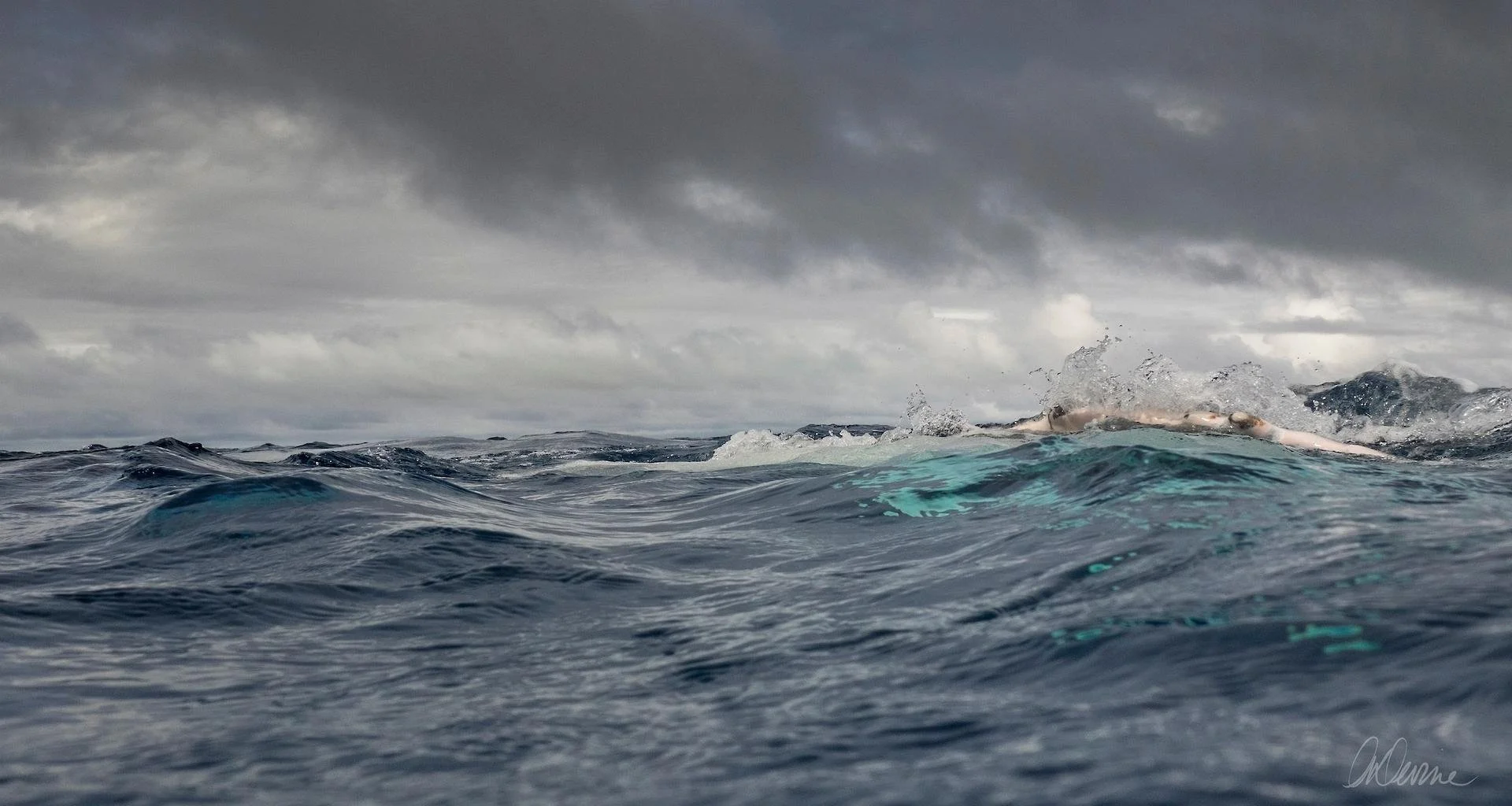 The Wave Andee Devine 2023.jpeg