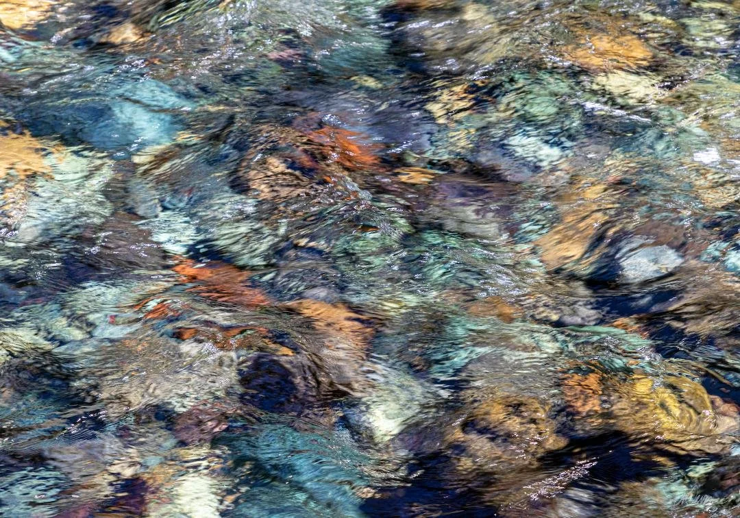 Snap! Photographers share Spotlight Show