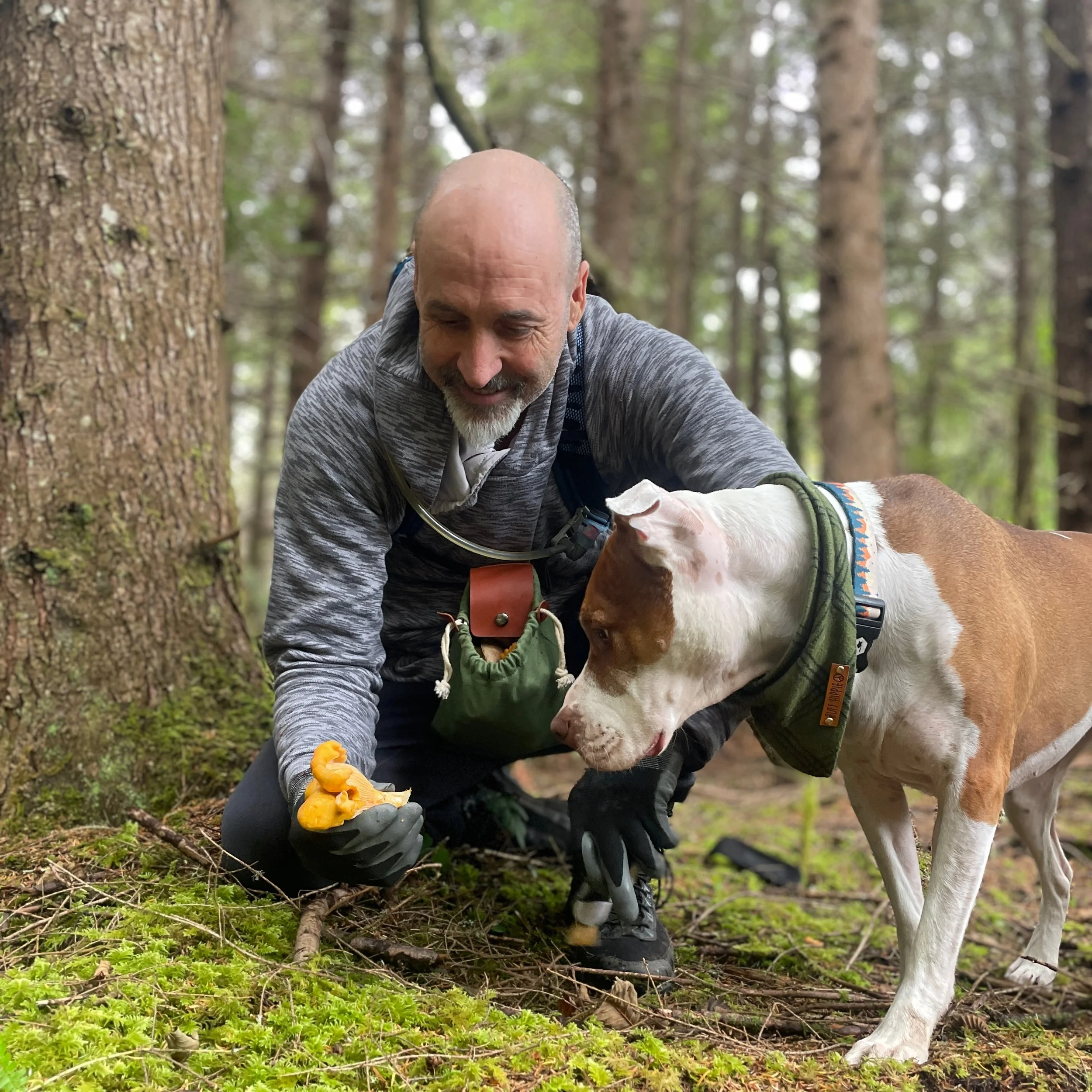 mushroom Joe and Scout - 1.jpeg