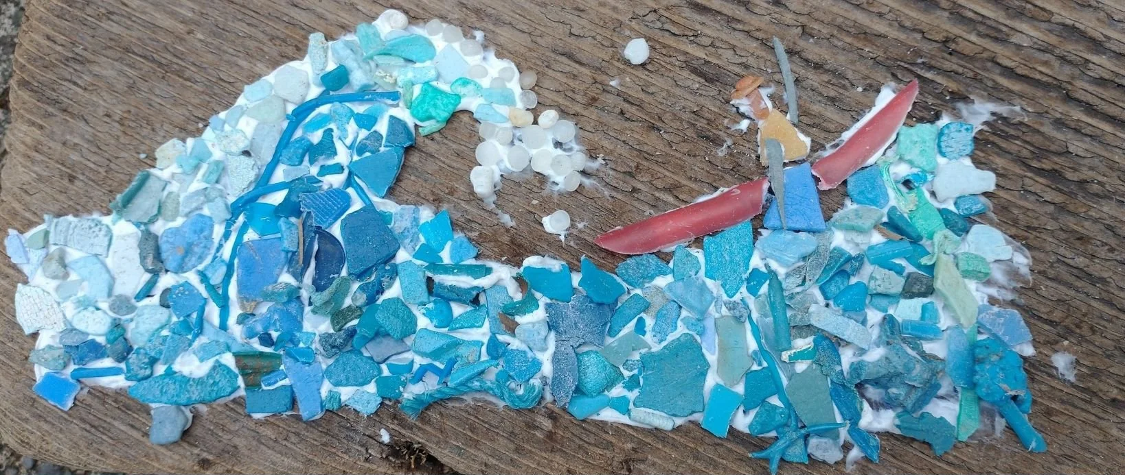 Marine debris retreat washes up in Wheeler