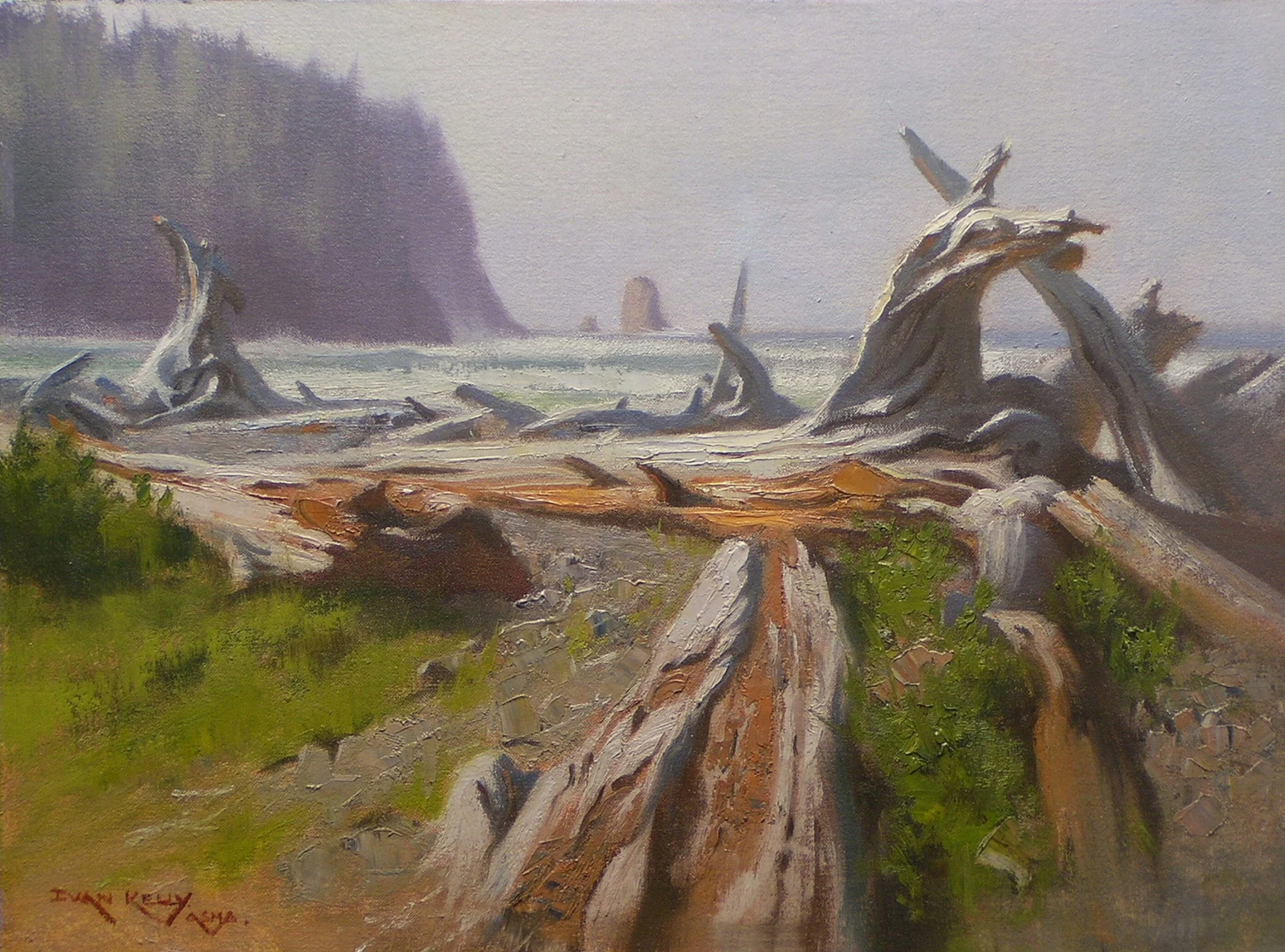 Driftwood, Cape Meares, 12 x 16.jpg