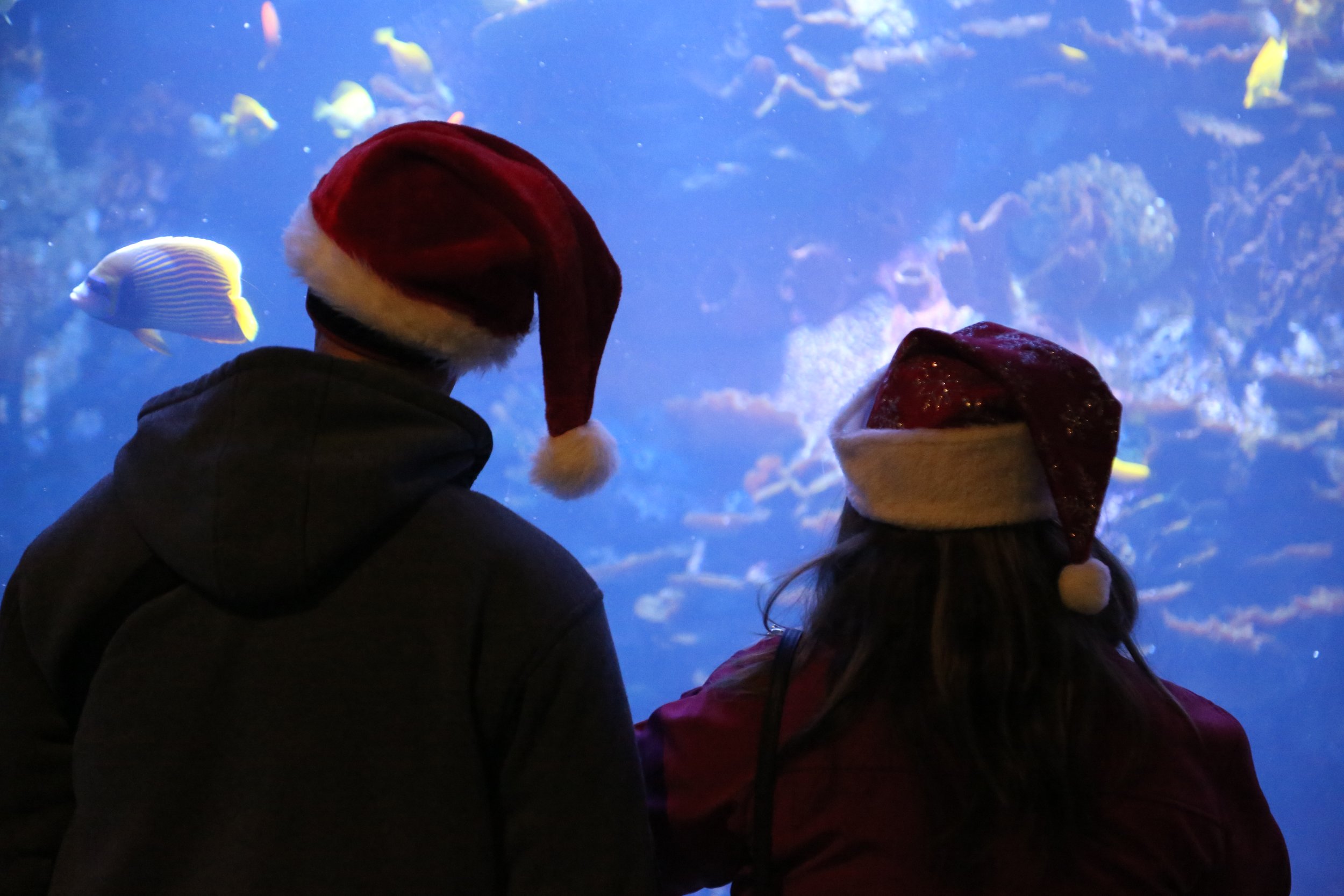 SoL_Guests_in_Santa_Hats.JPG