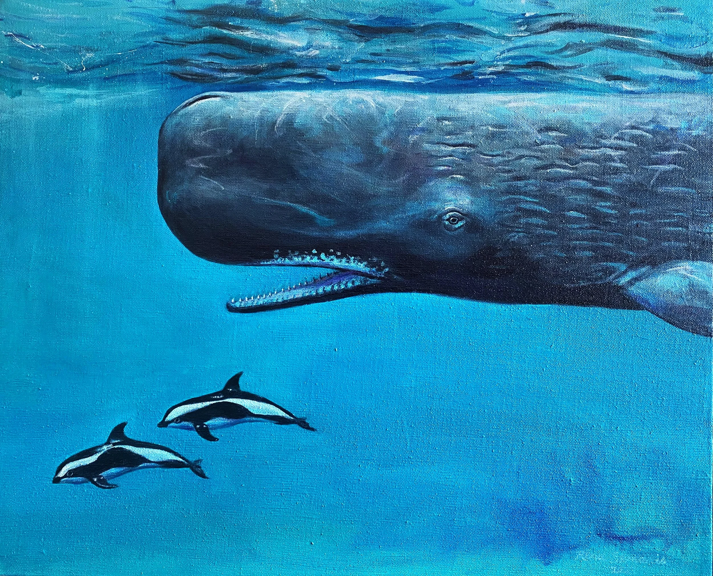 The magic of the pelagic