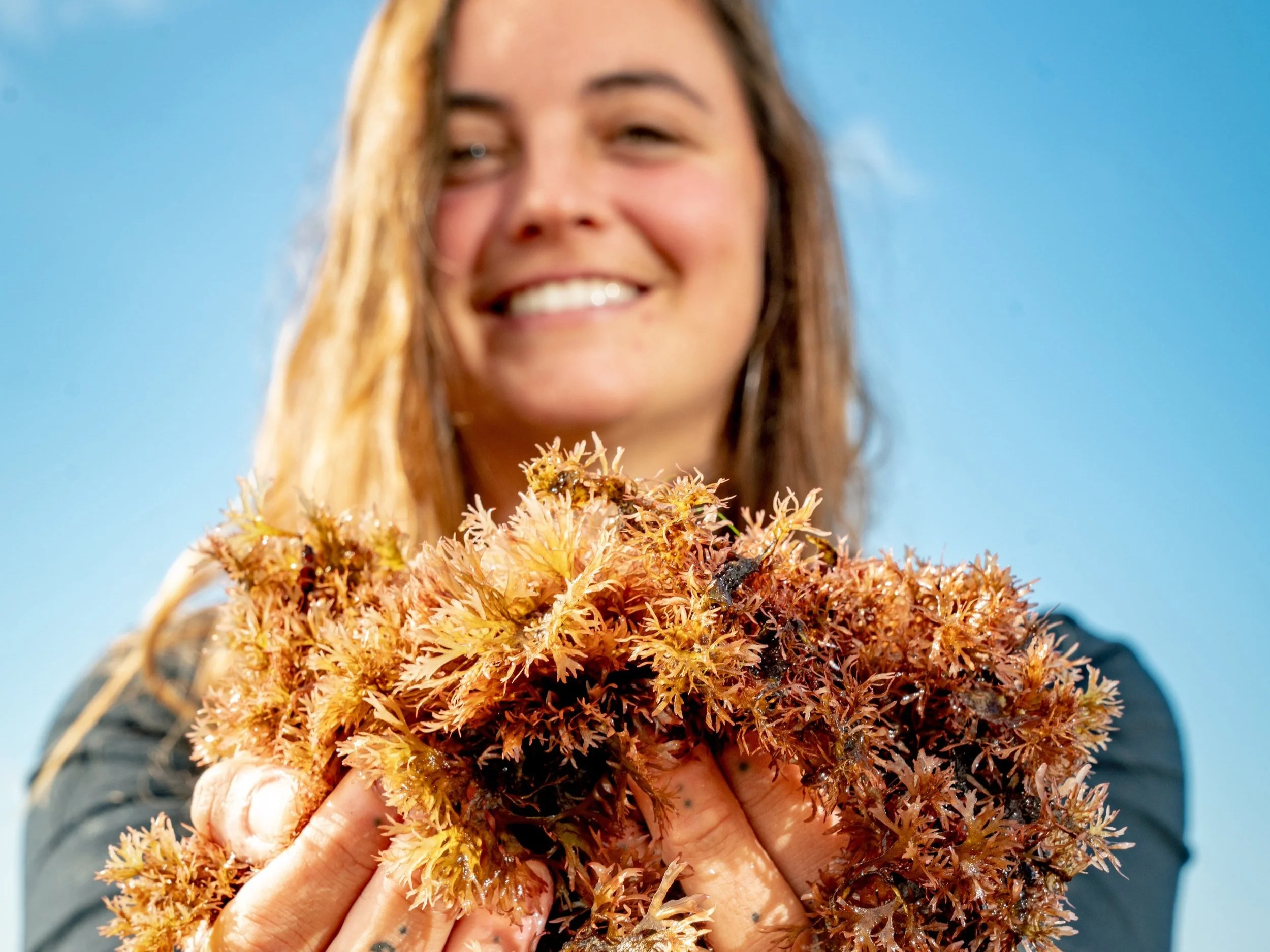 Weed love to see you there