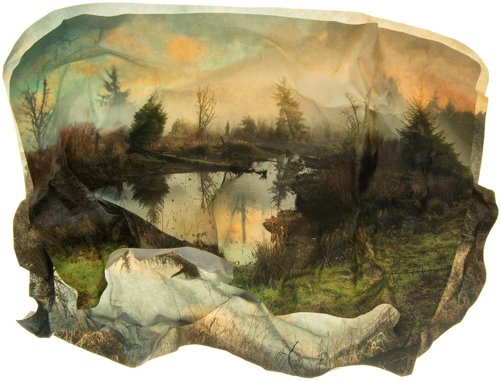DaedalusEnfoldedAutumnSwamp.jpg