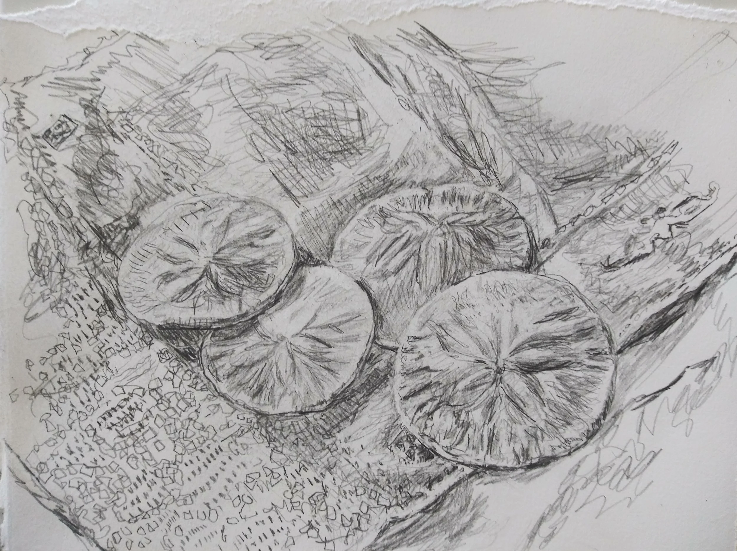 Drawing - Carol Shenk.jpg