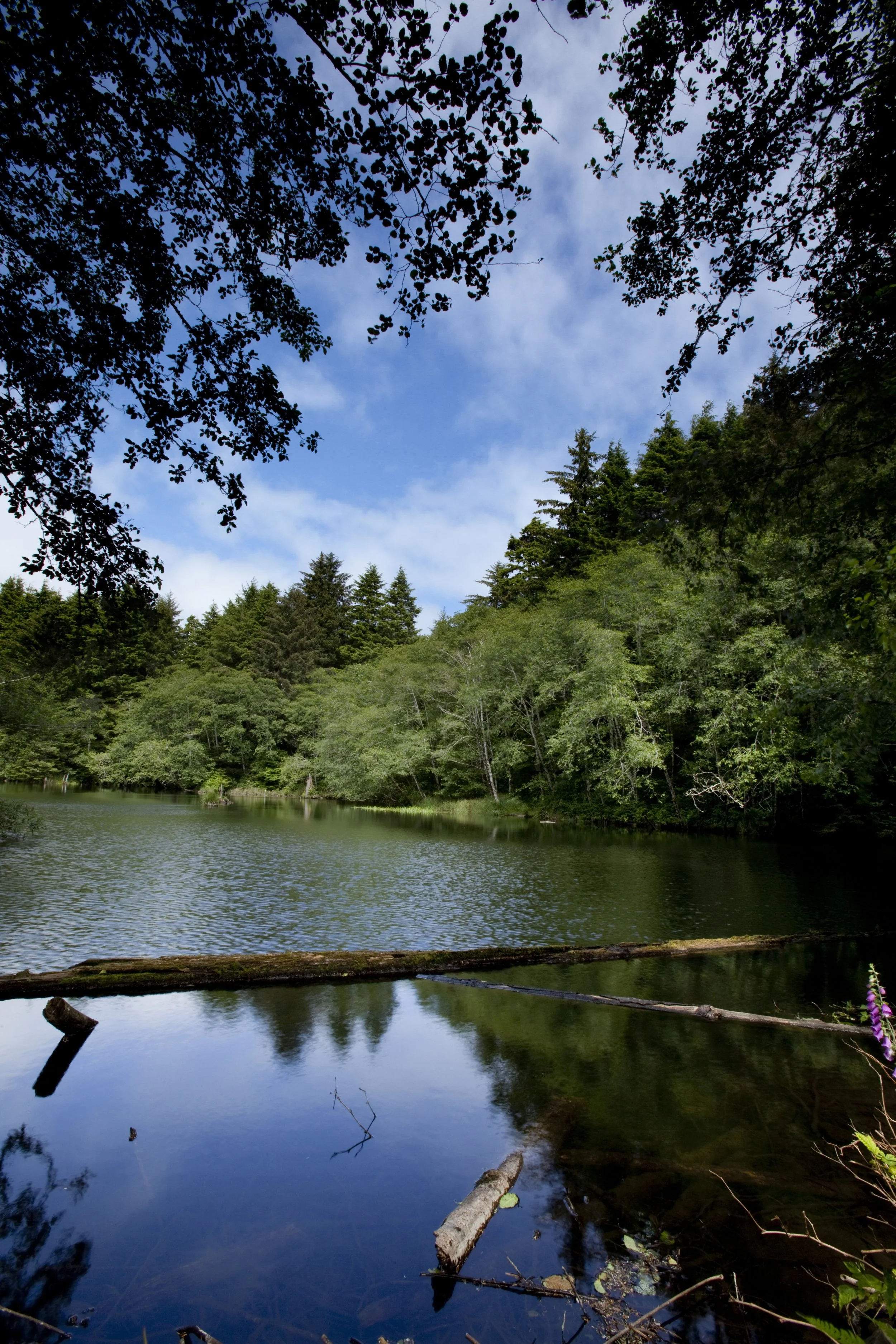 Spring Lake.jpg