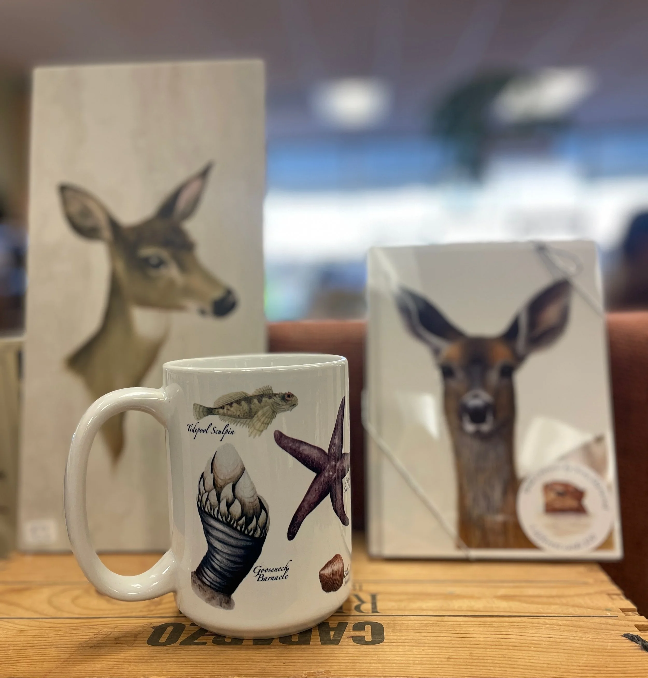 Local Faire - 5.jpeg