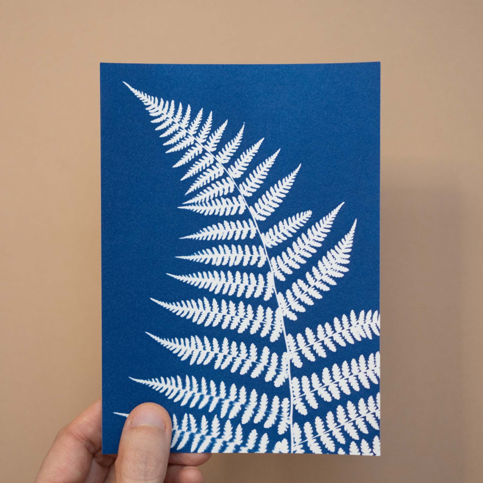 LRushing - Cyanotype Basics with Botanicals Class - 03 - web.jpg