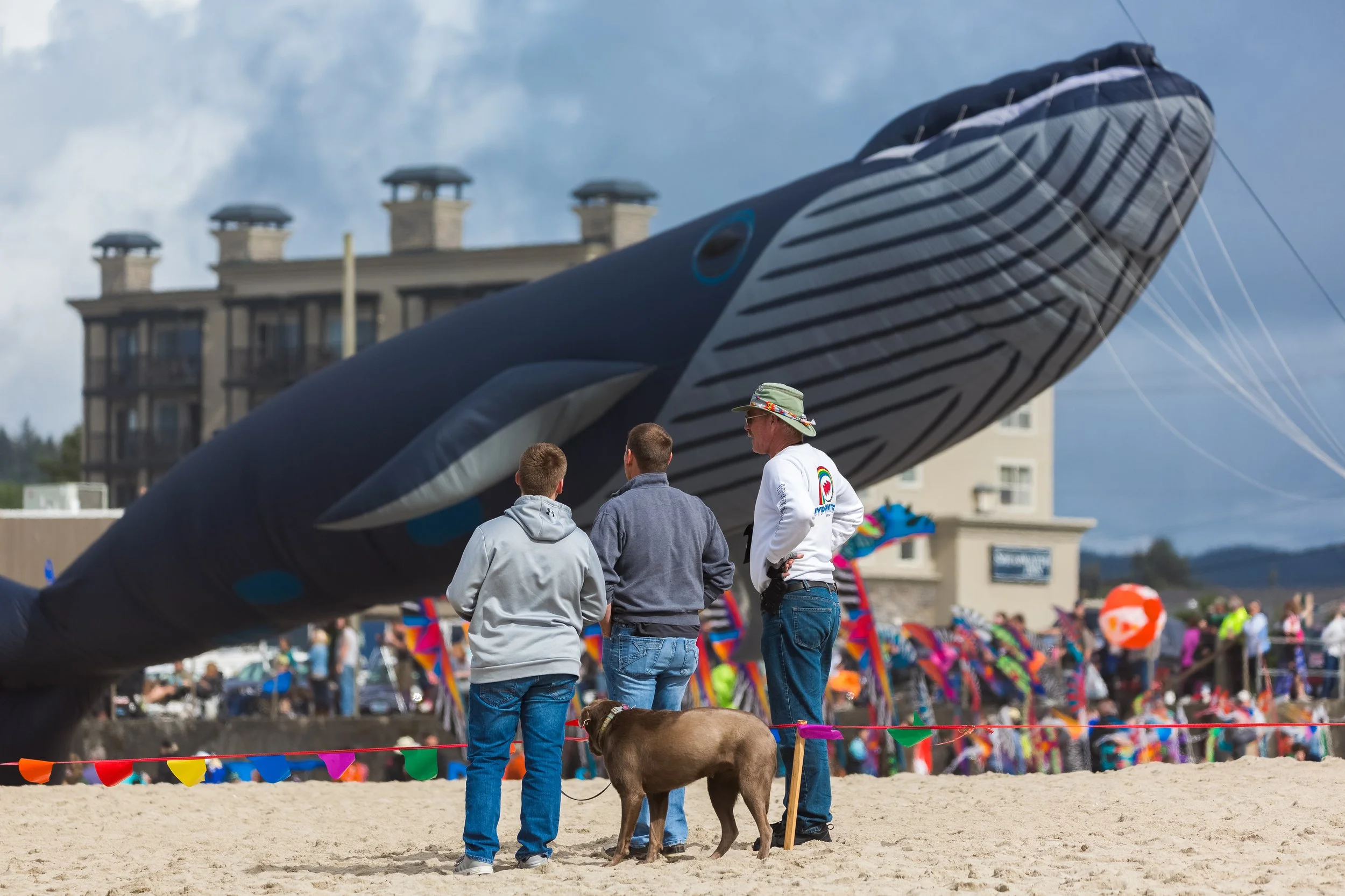 LC-KiteFestival-24.jpg